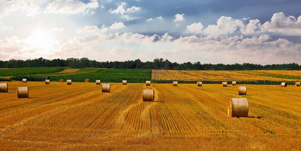 het platteland