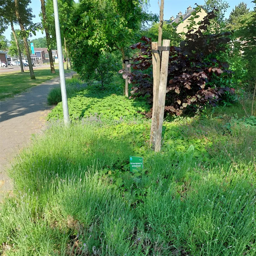 mensen maken de buurt gem lelystad