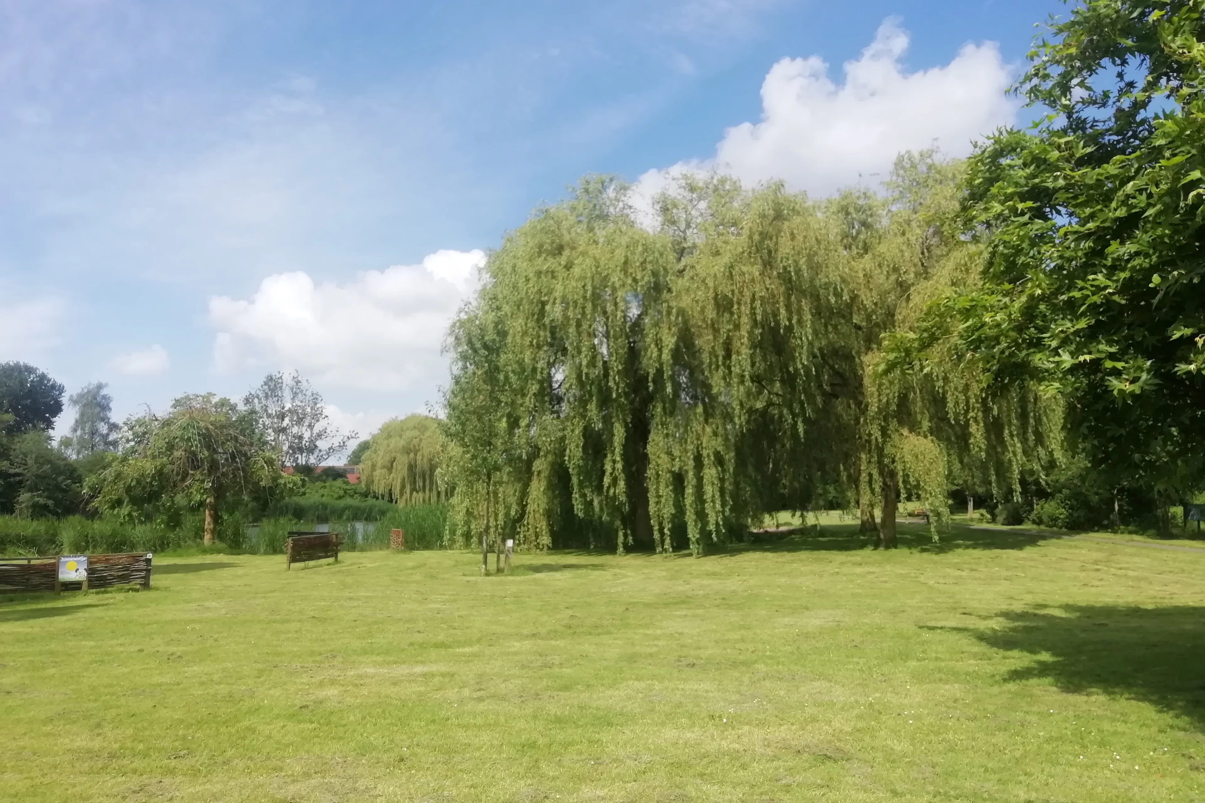 speelweide bultaprk 050524 c2a9 kna