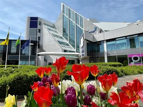 stadhuis met tulpen