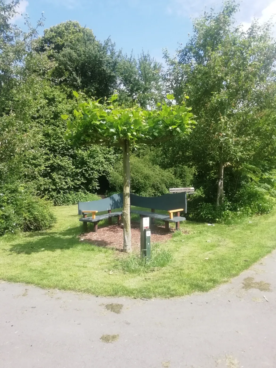 dakplataan bultpark 050524 1 kna