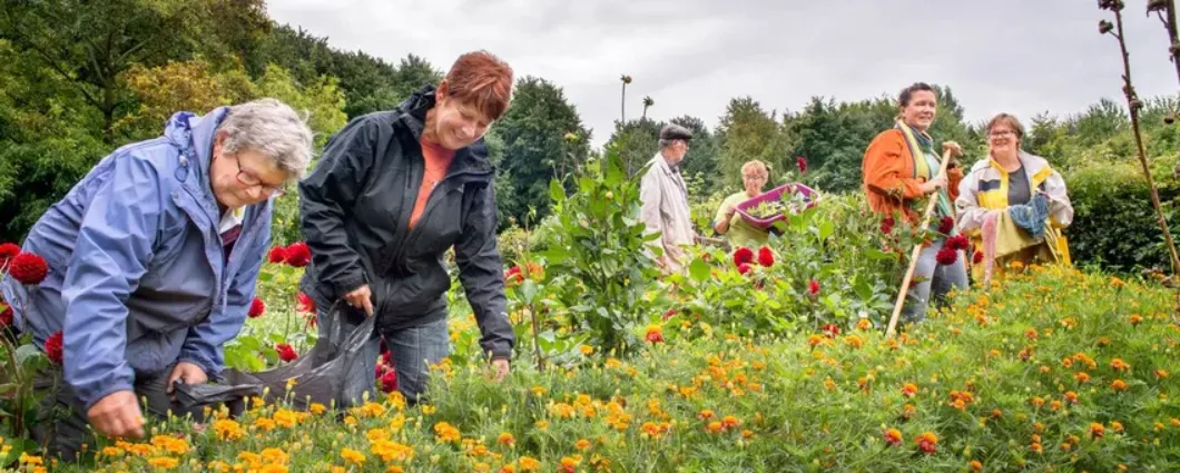 ondersteuningstraject 1 groene bondgenoten