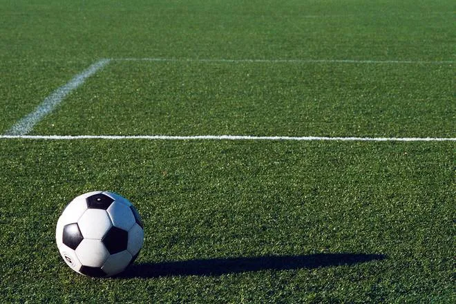 sport kunstgras gem lelystad