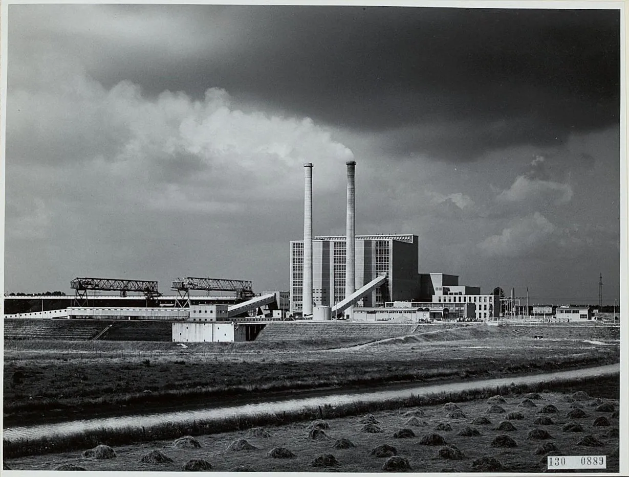 1955 1