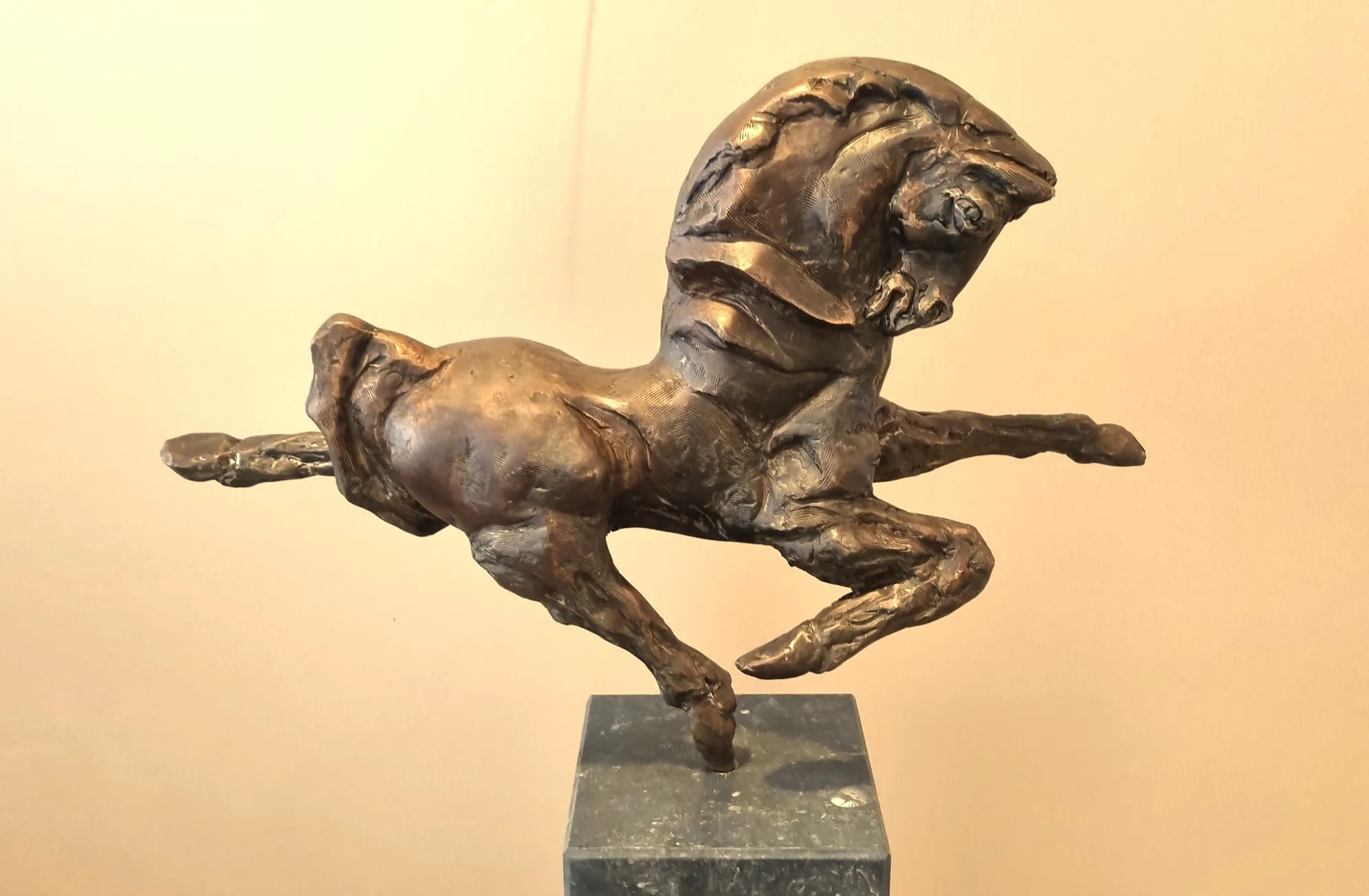 438259490 2384919581693203 2182578785707155509 n