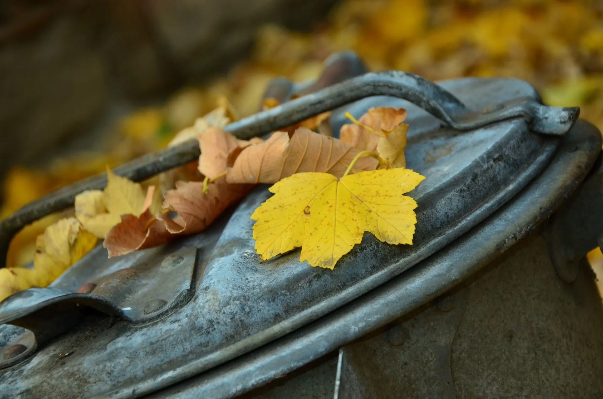 autumn 1013608 1920