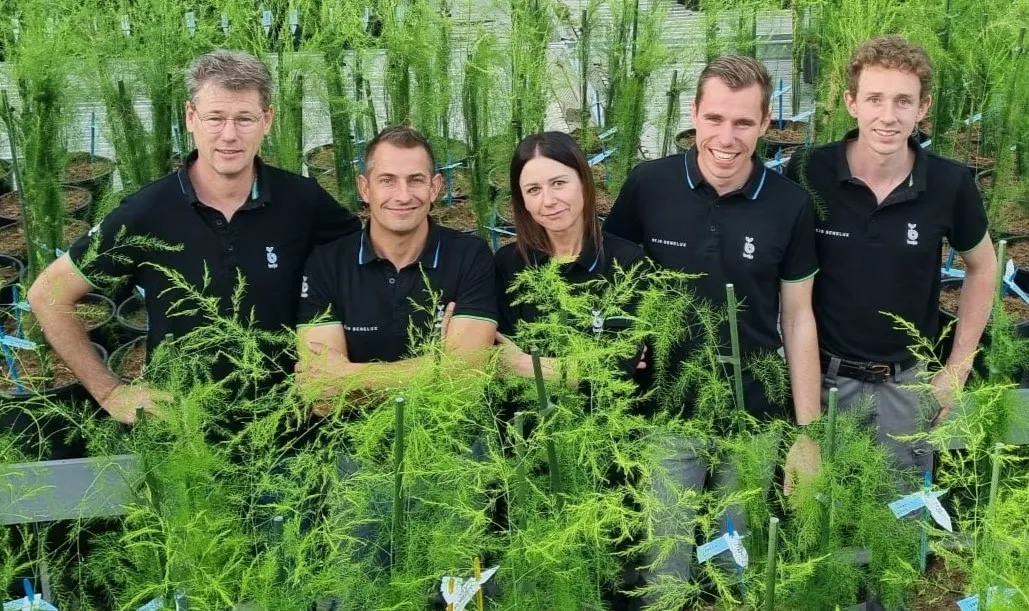 bewerkte foto