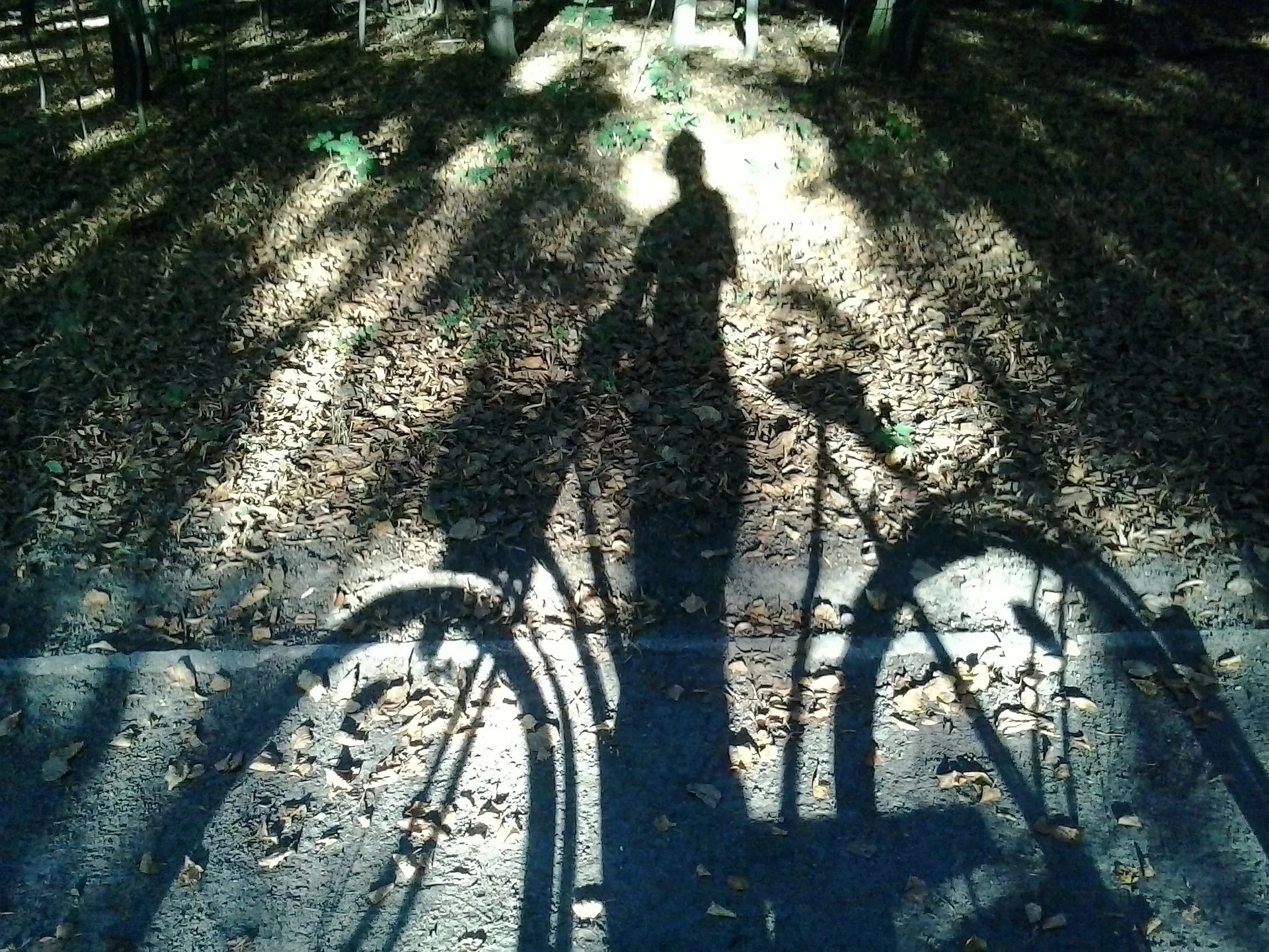 bike 197227 1920