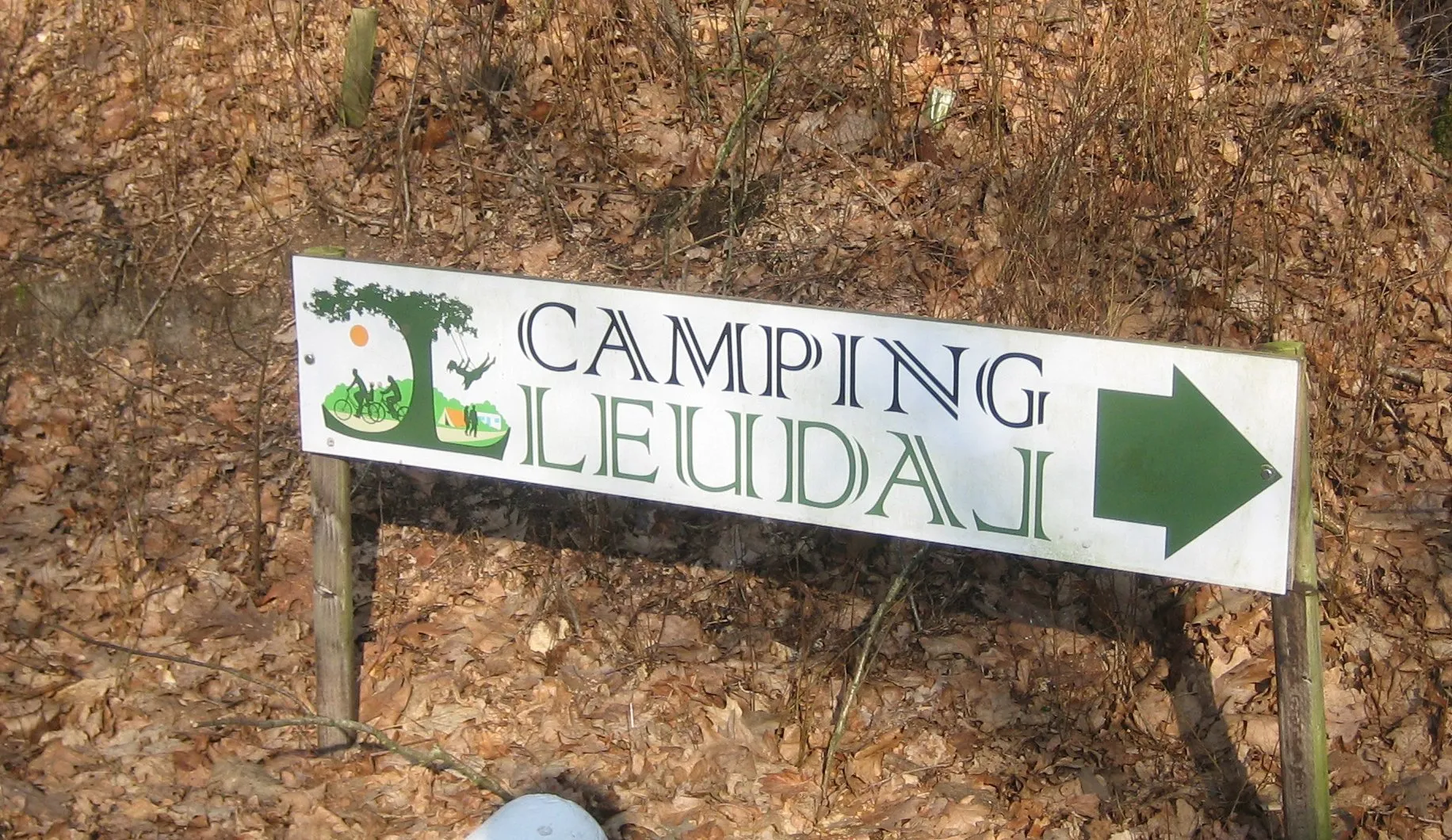 campbord