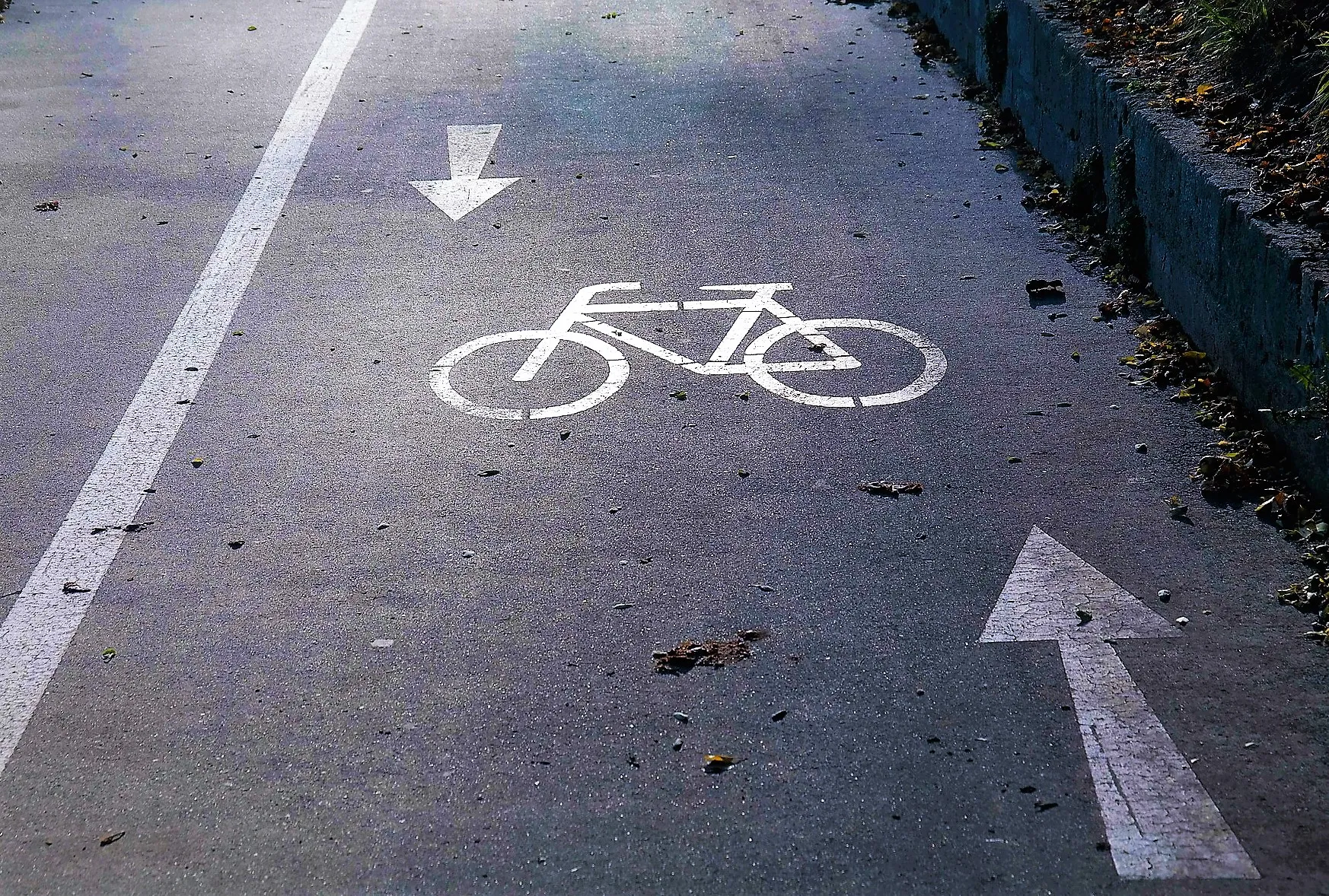 cycle path 228126 1920