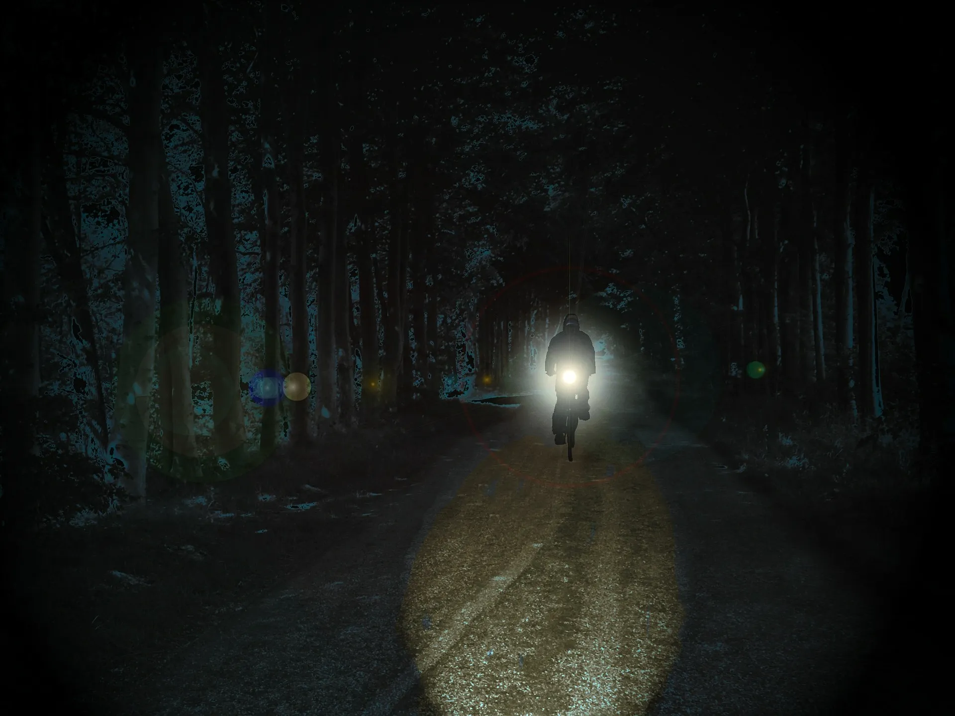 cyclists 498404 1920