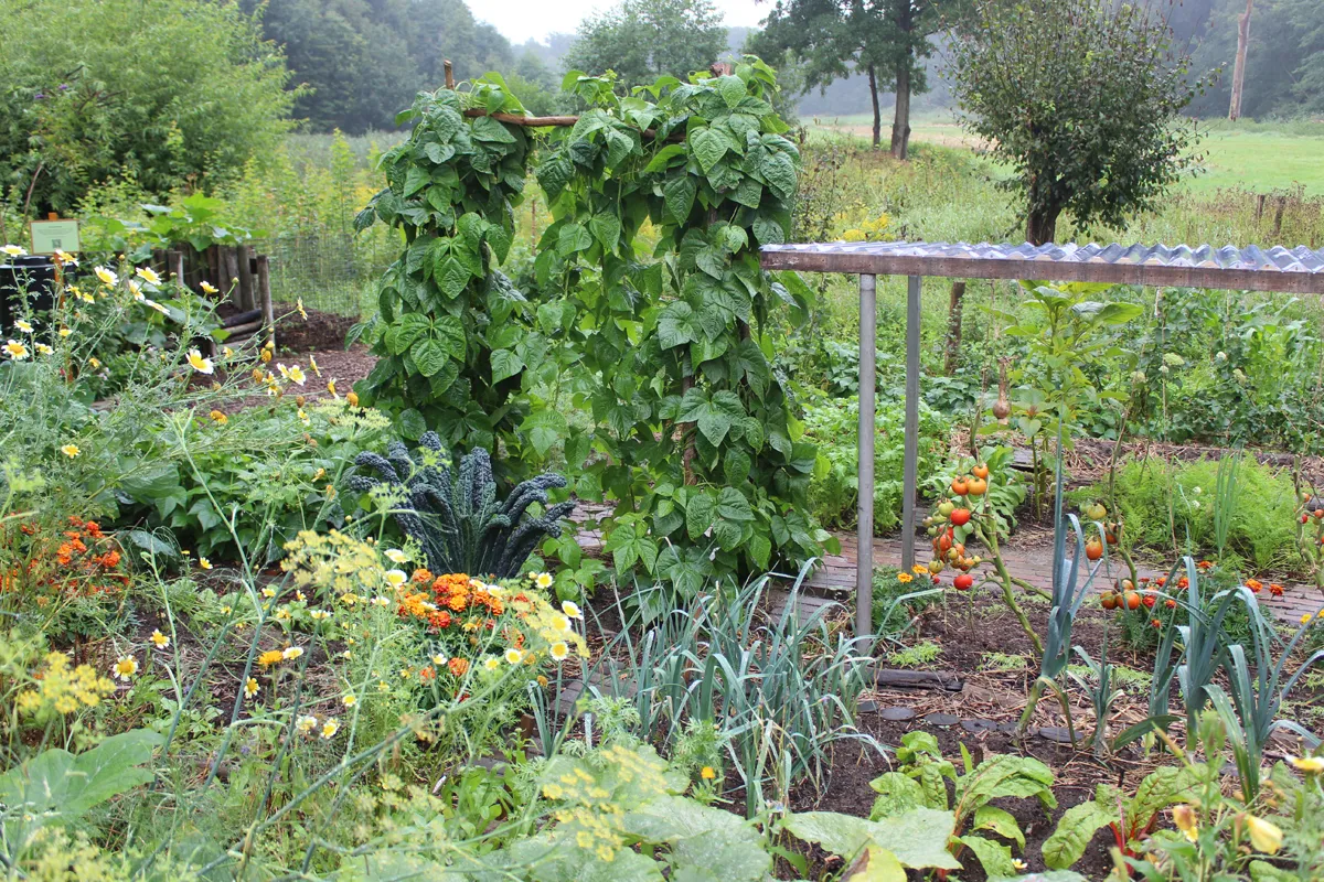 eco tuin velt