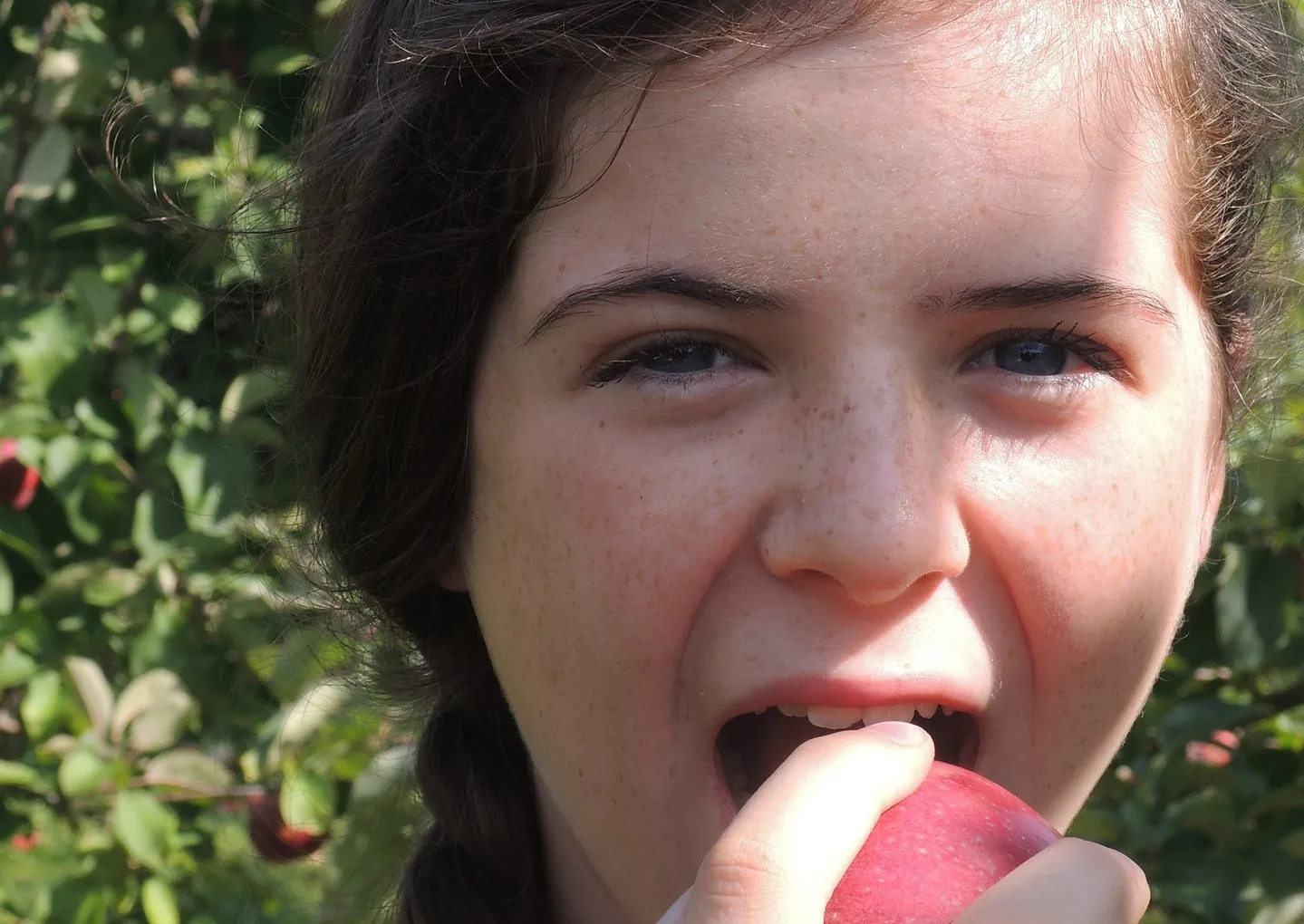 fruit 559769 1920