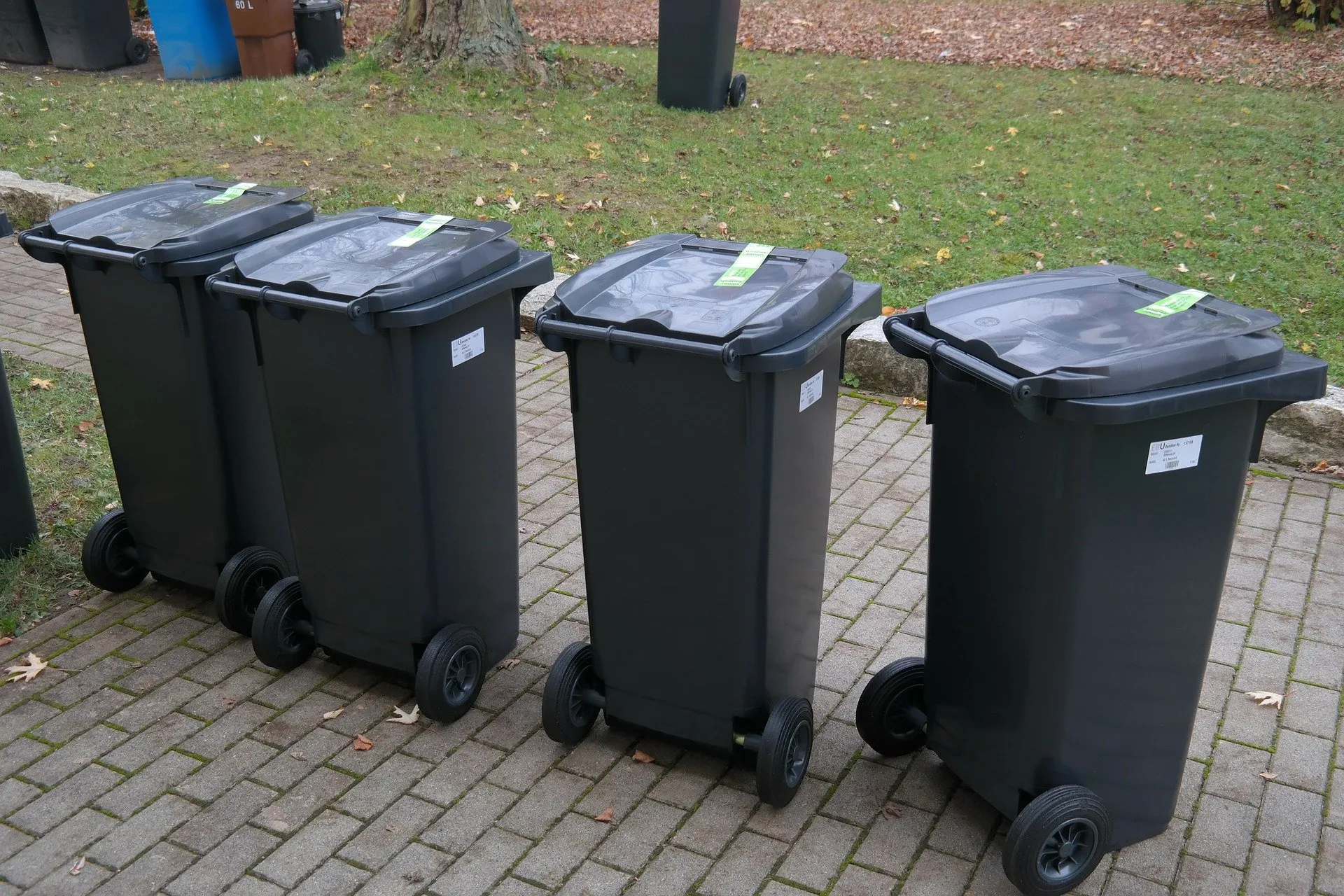 garbage can 231875 1920