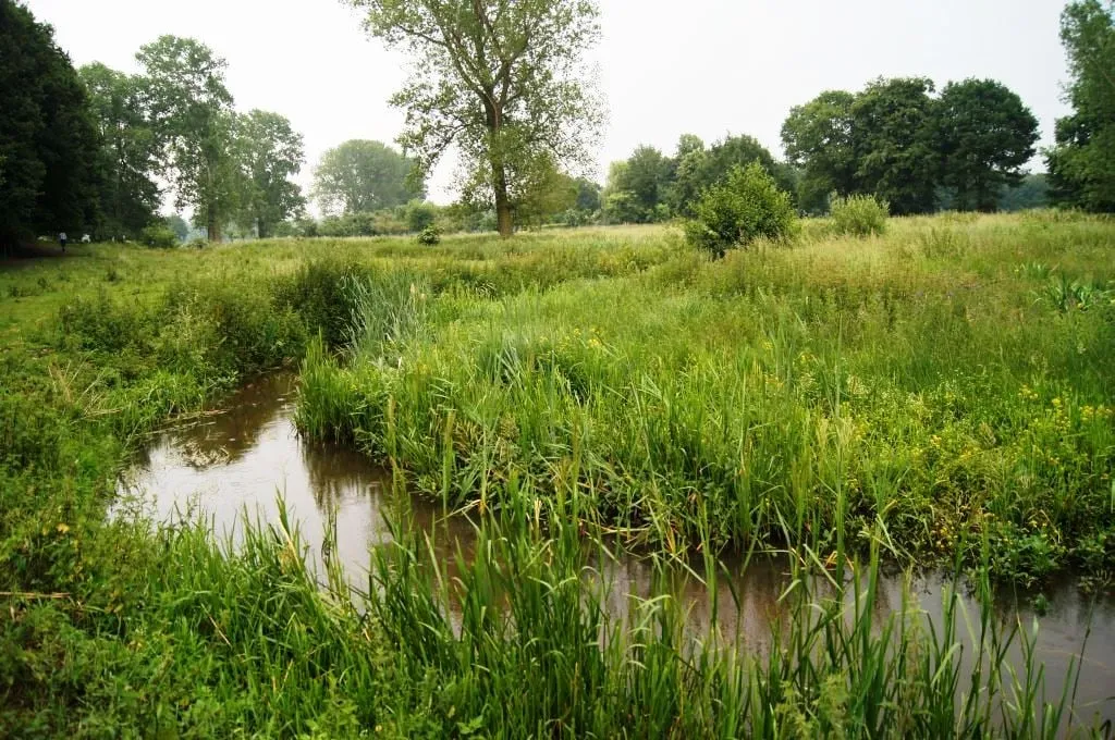 haelensebeek