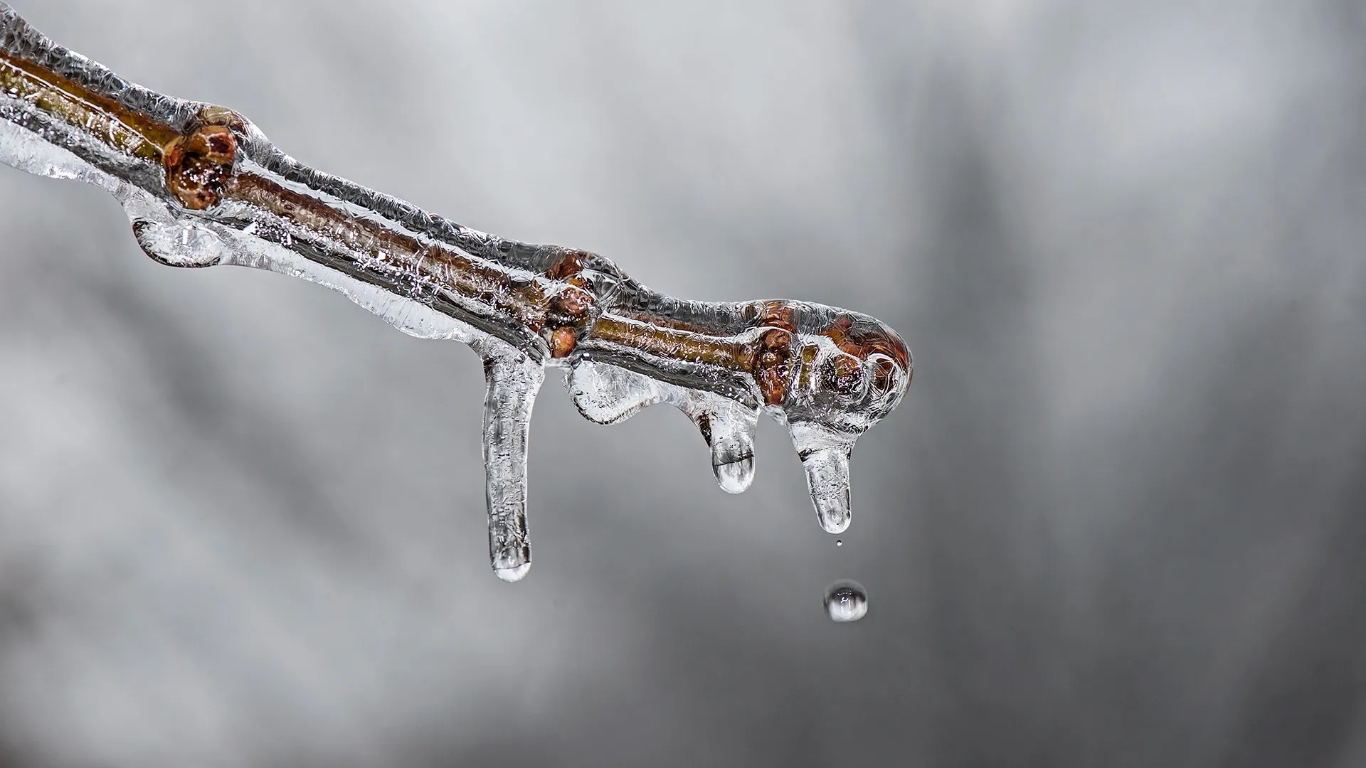 ice g82cc13a0f 1920