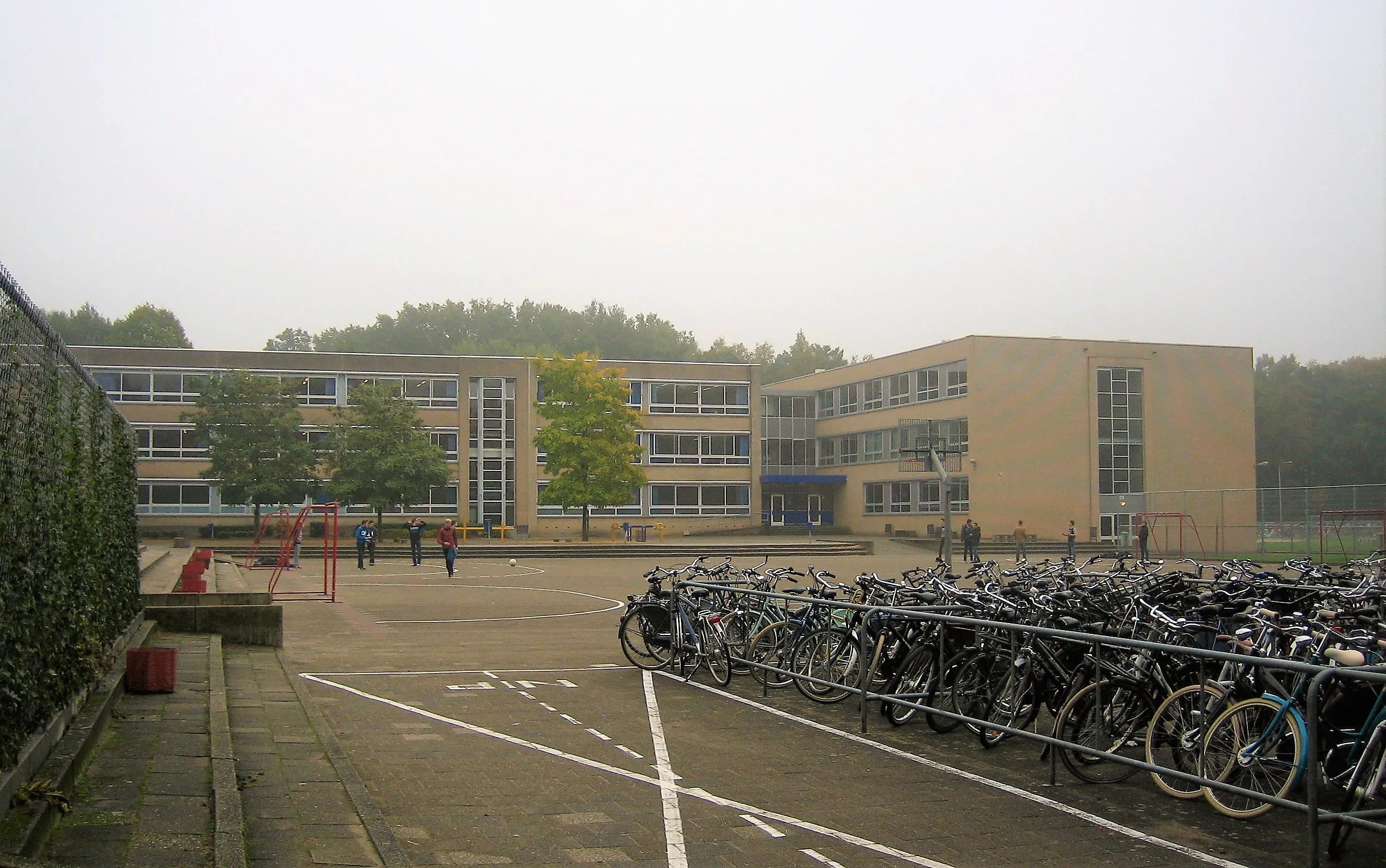img 8299