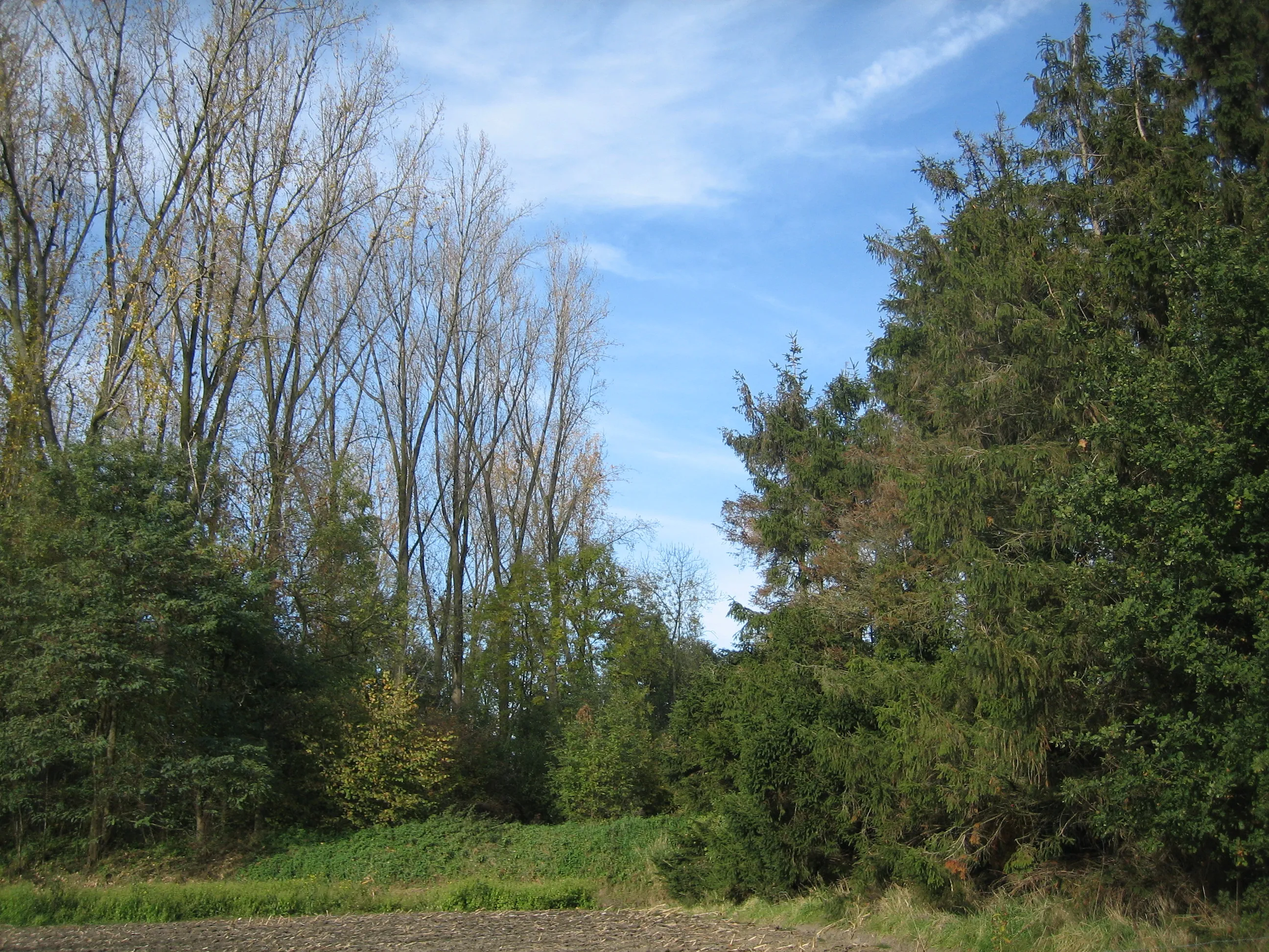 img 8344