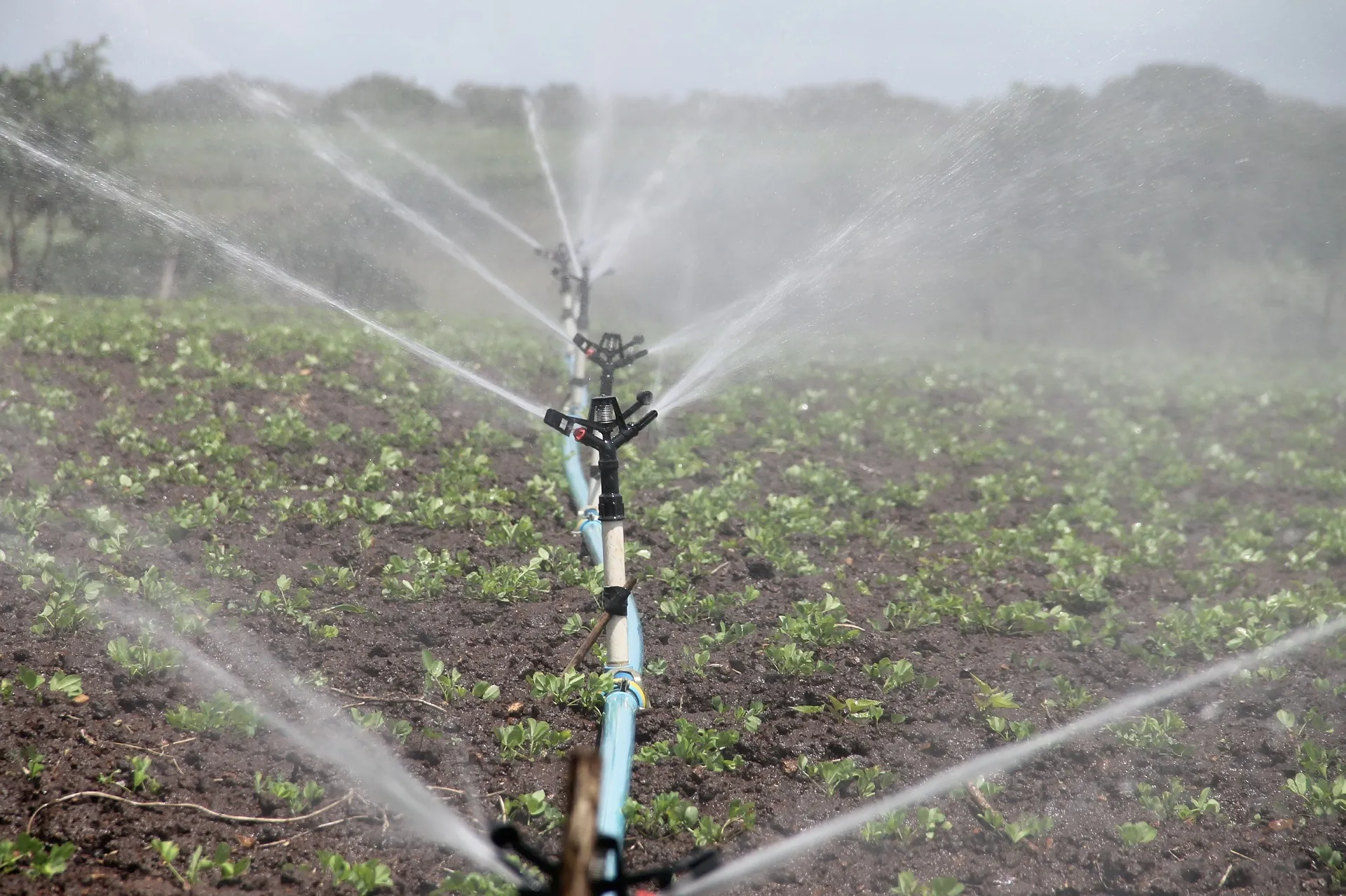 irrigation 588941 1920