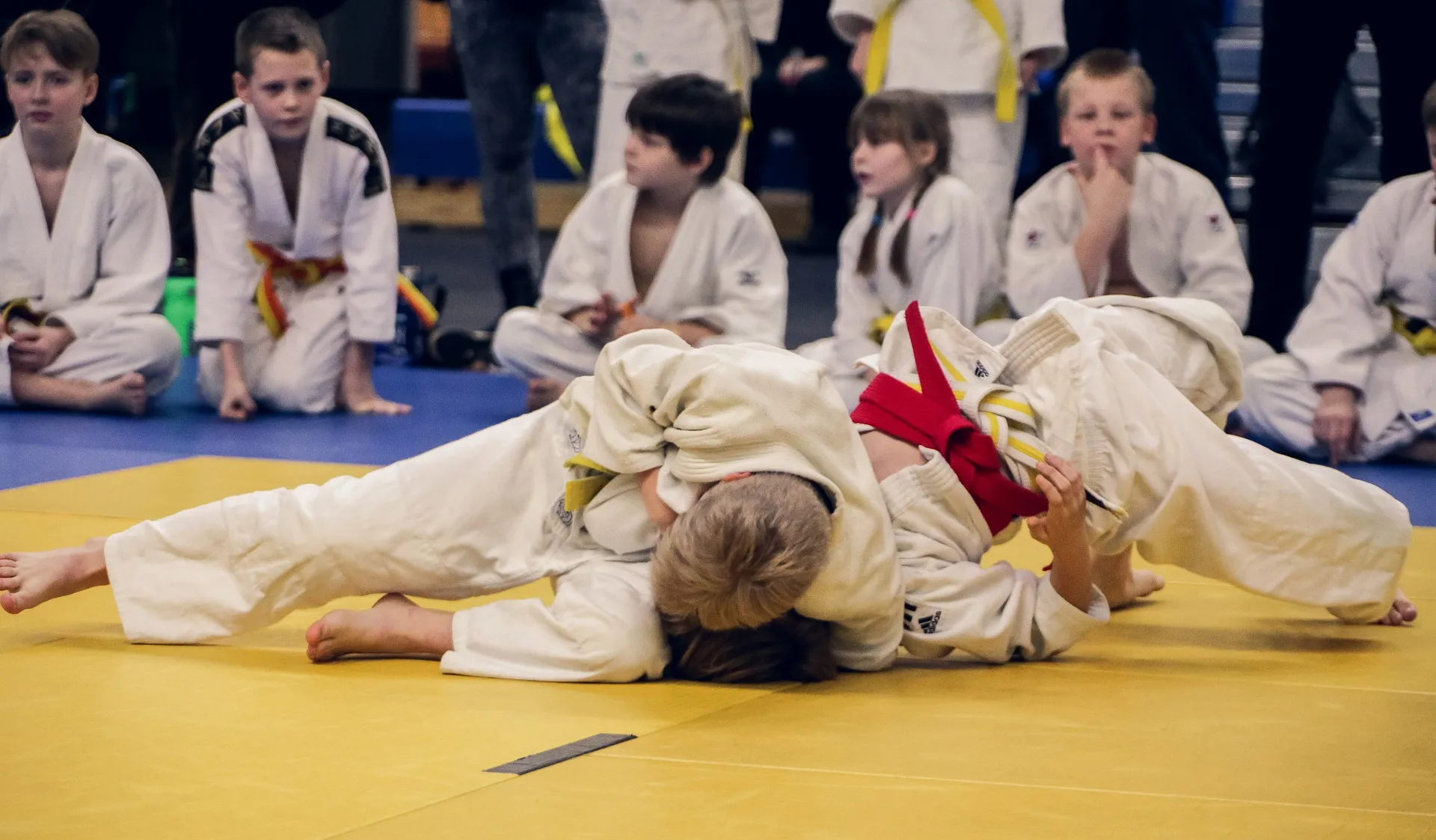 judo 4454835 1920
