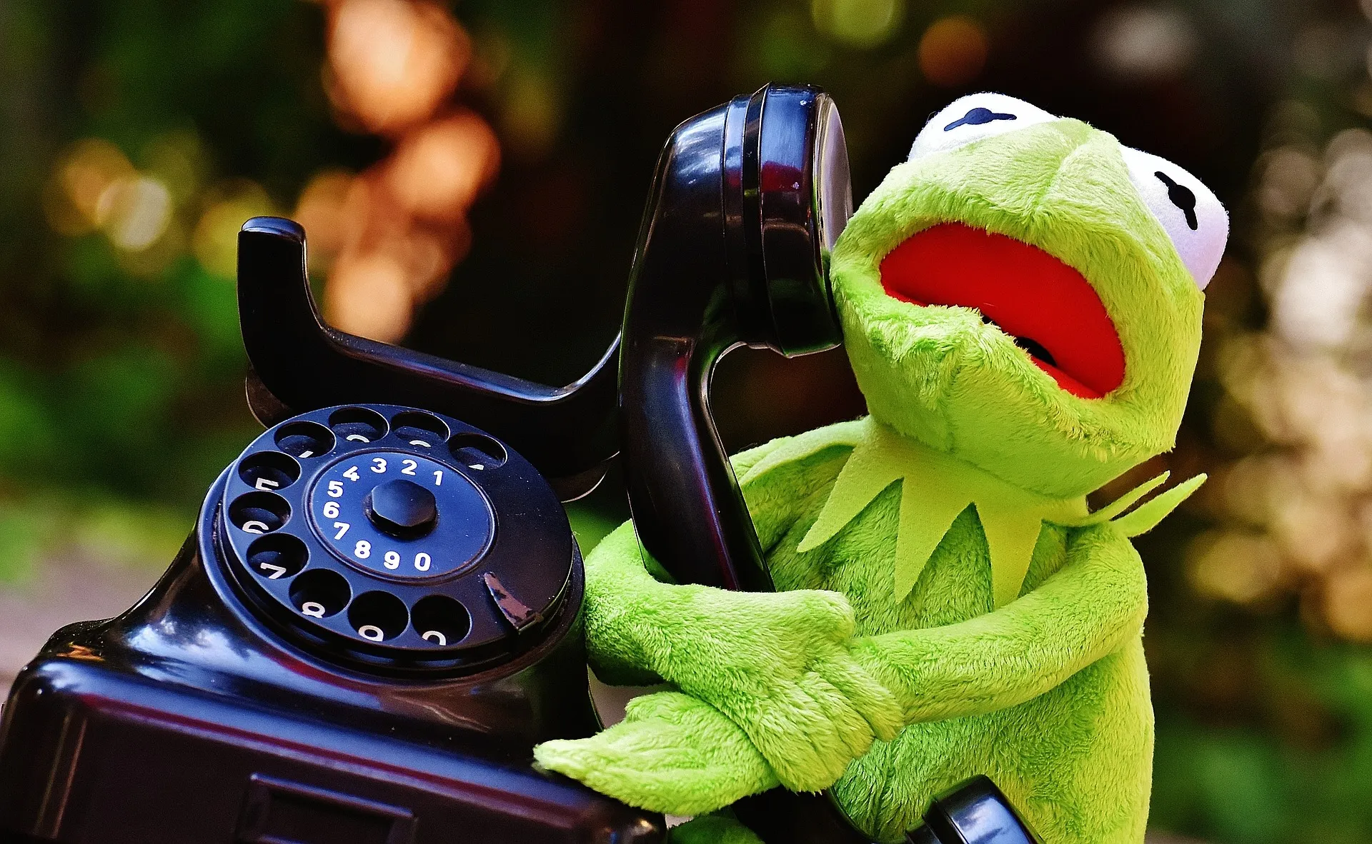 kermit 1664744 1920