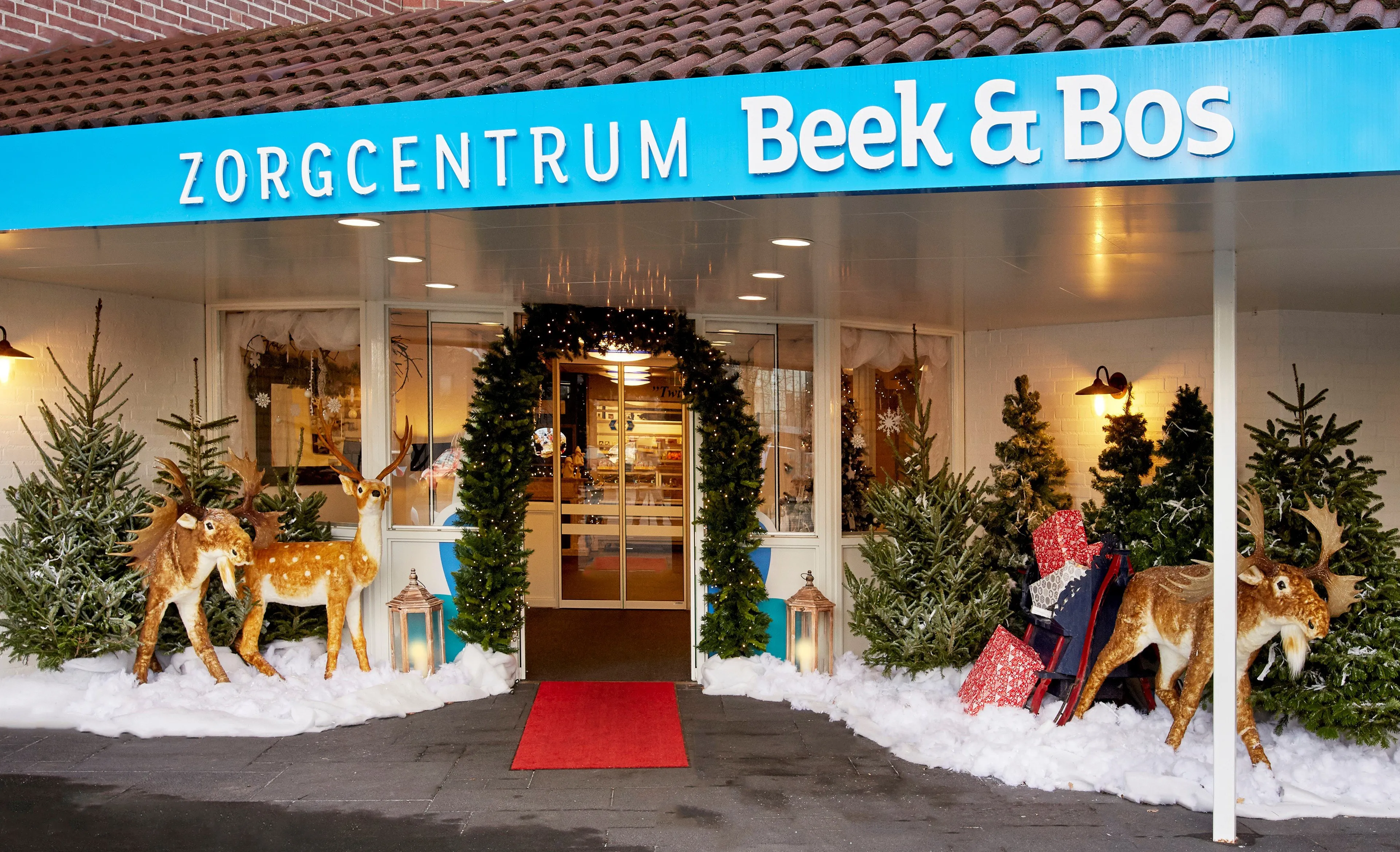 kerstsfeer bij beek en bos