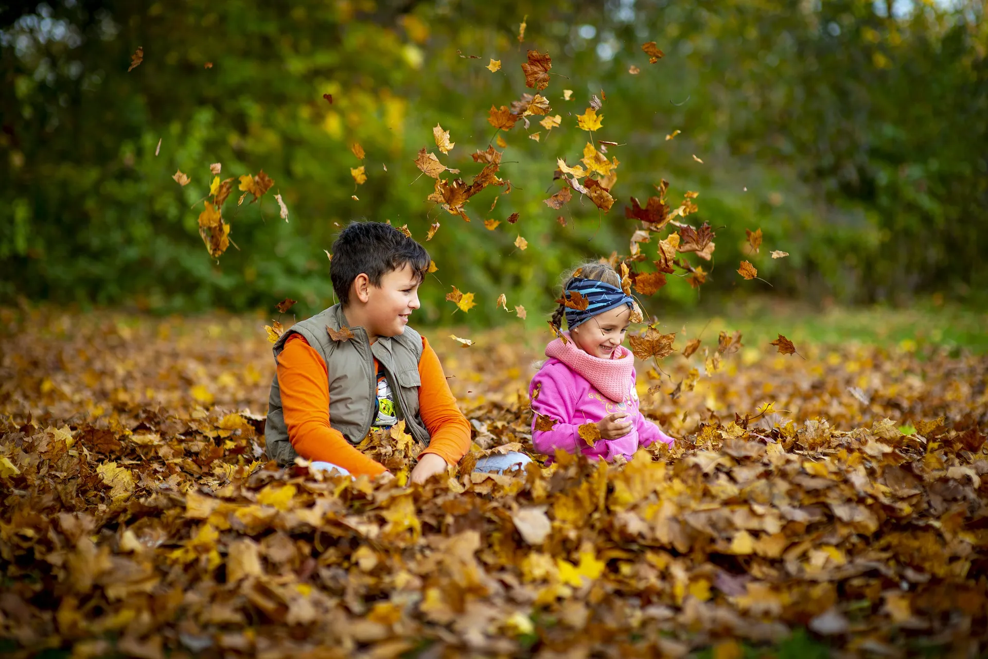 kleuren van de herfst