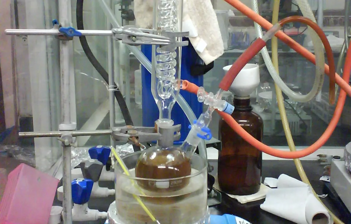 lab
