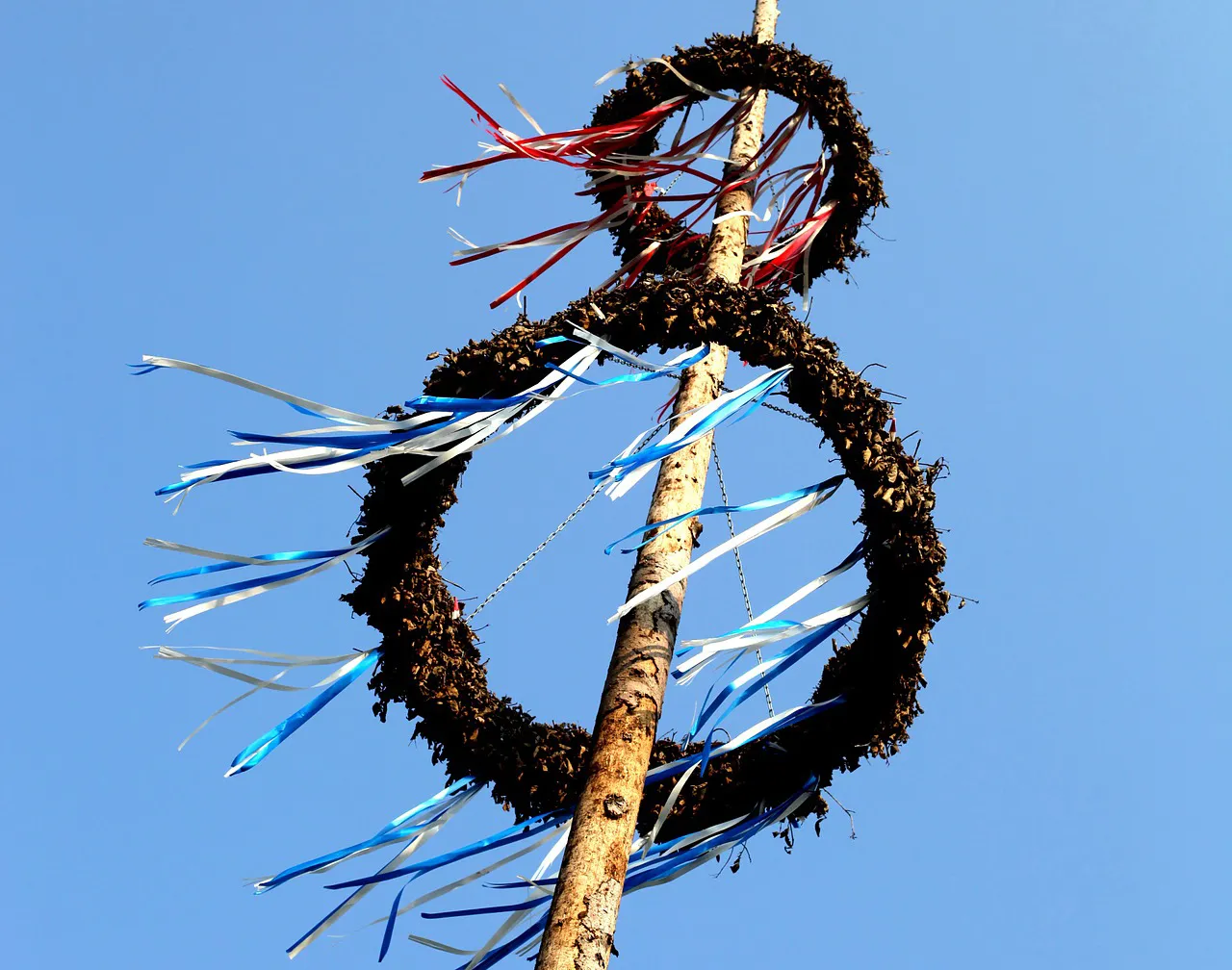meiboom