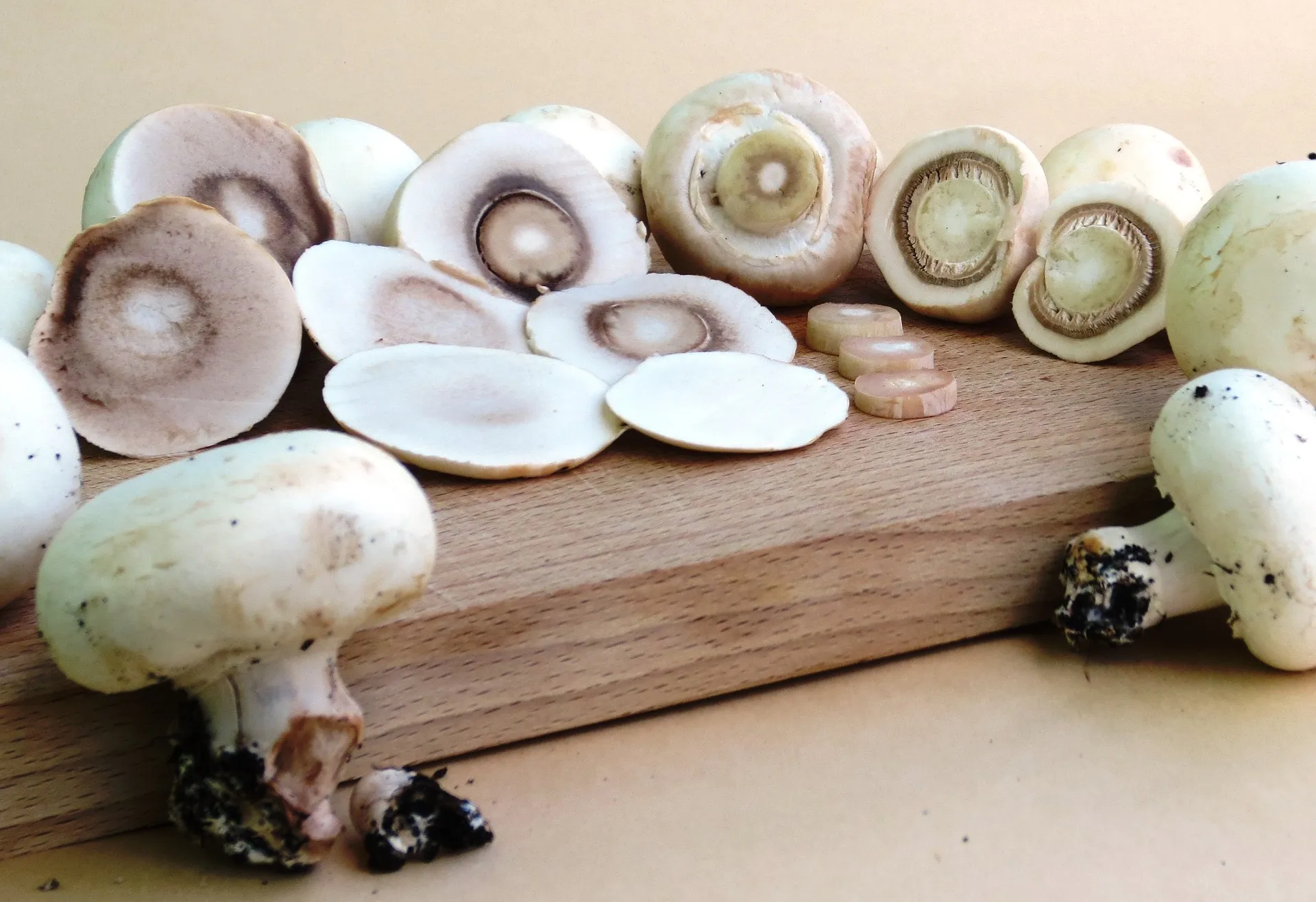 mushrooms 899094 1920