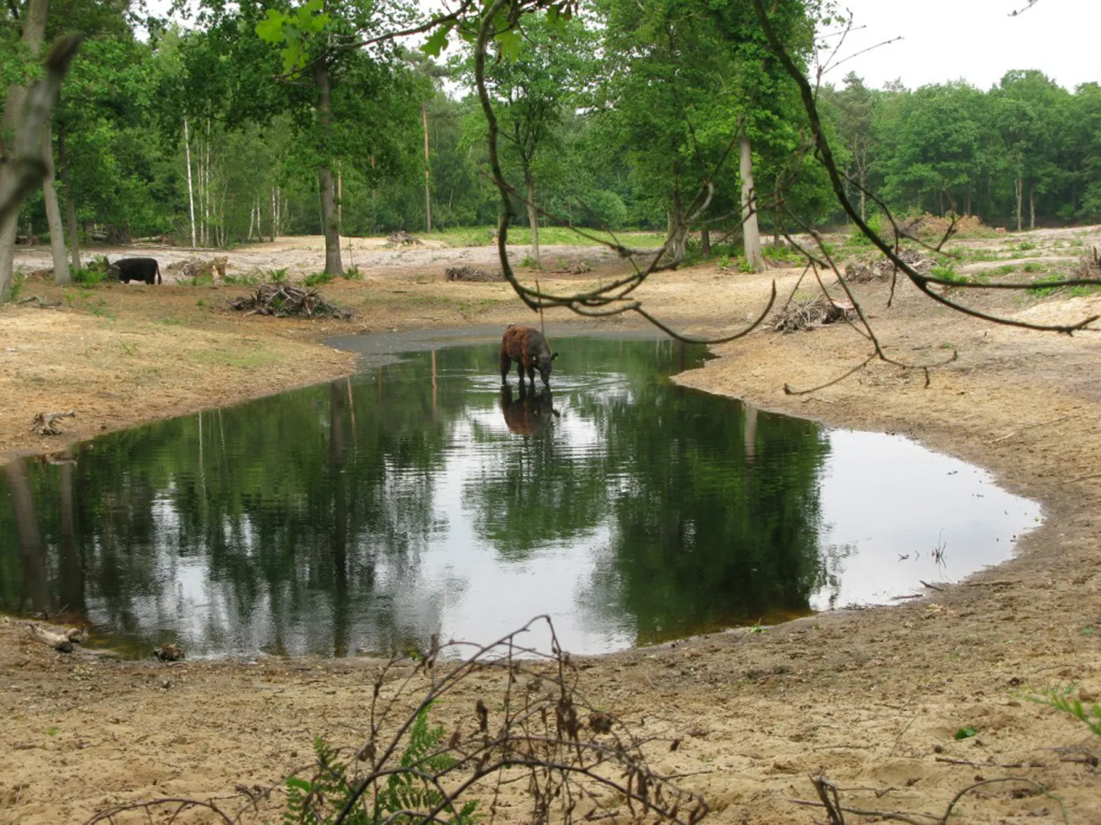 natura 2000 wandeling inloopmiddag