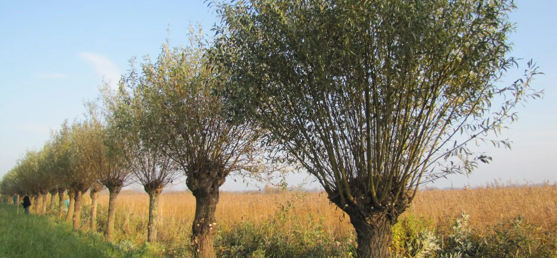 natuurwerkdag