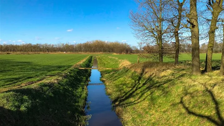 roggelsebeek breedbeeld