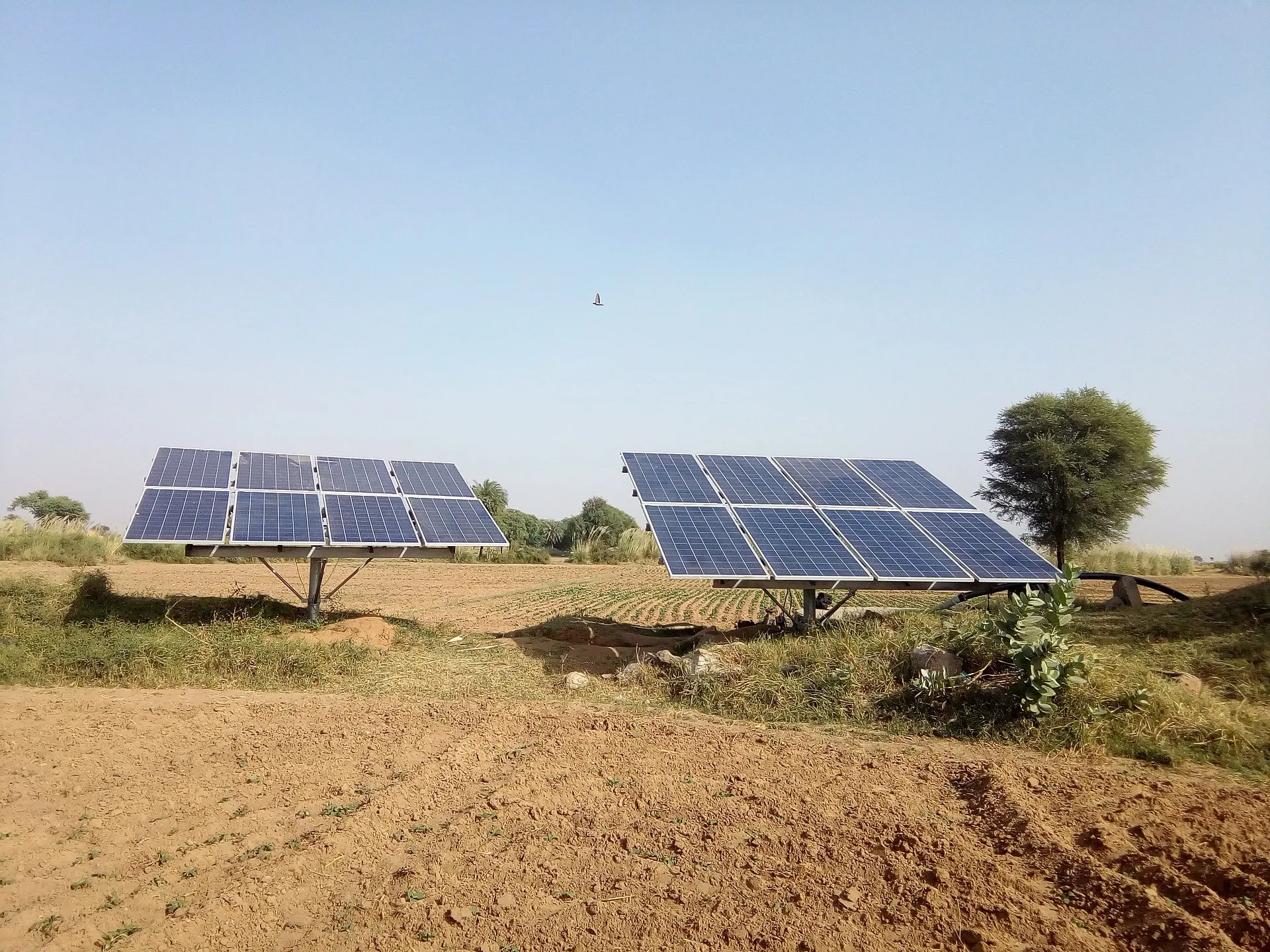 solar panels 1826883 1920