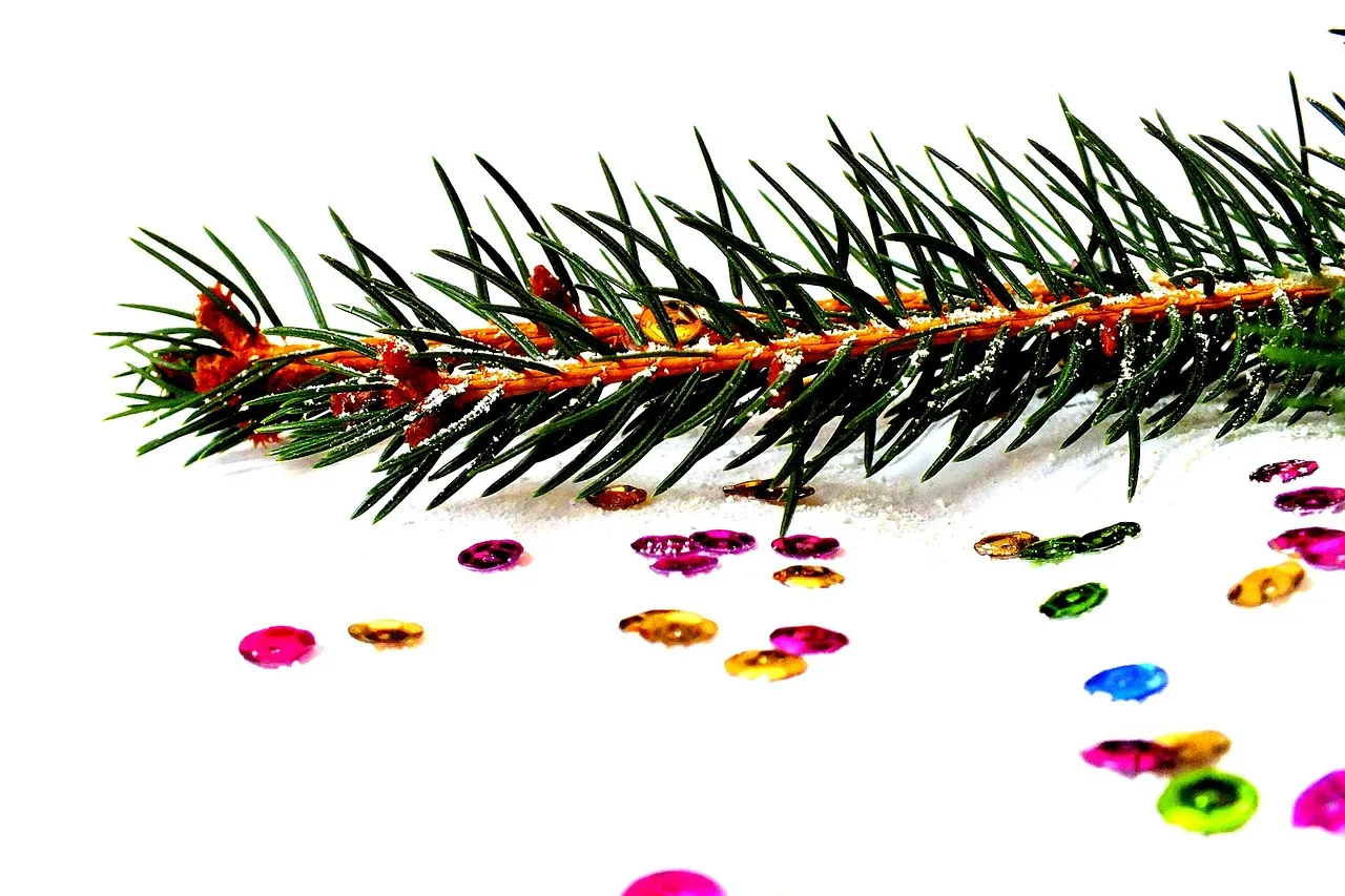 spruce 1040050 1280