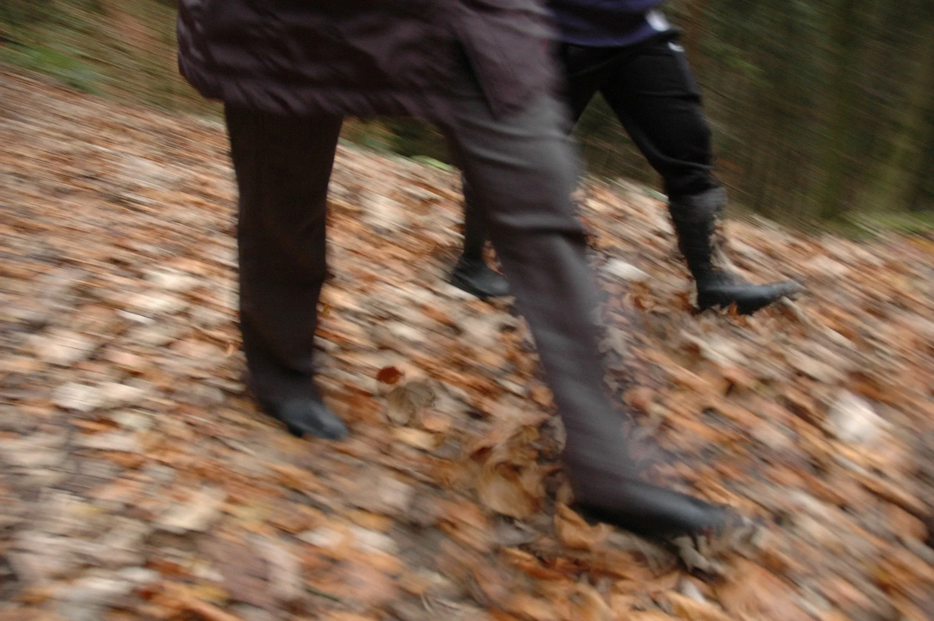 wandelen herfst