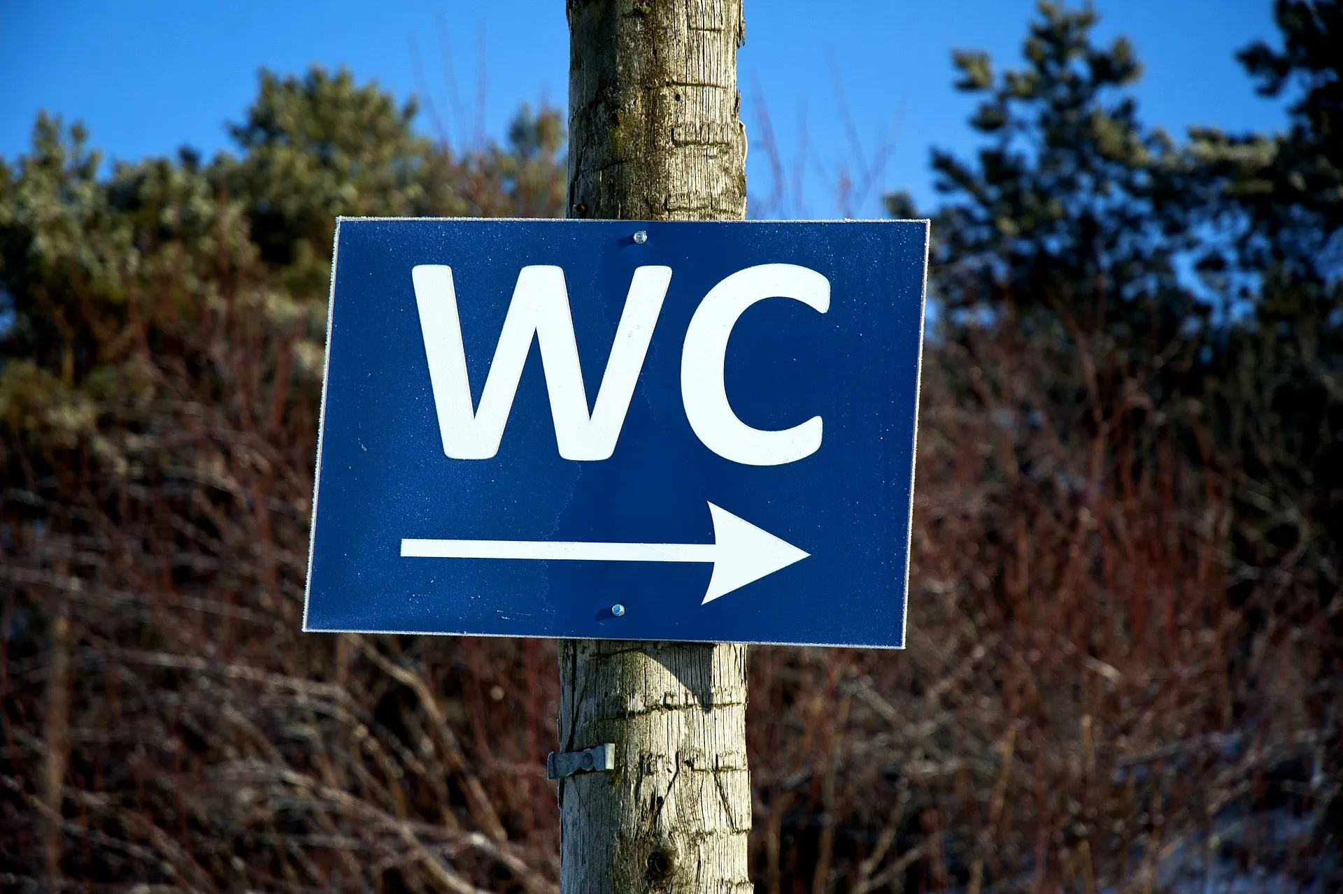 wc gf66ecb992 1920
