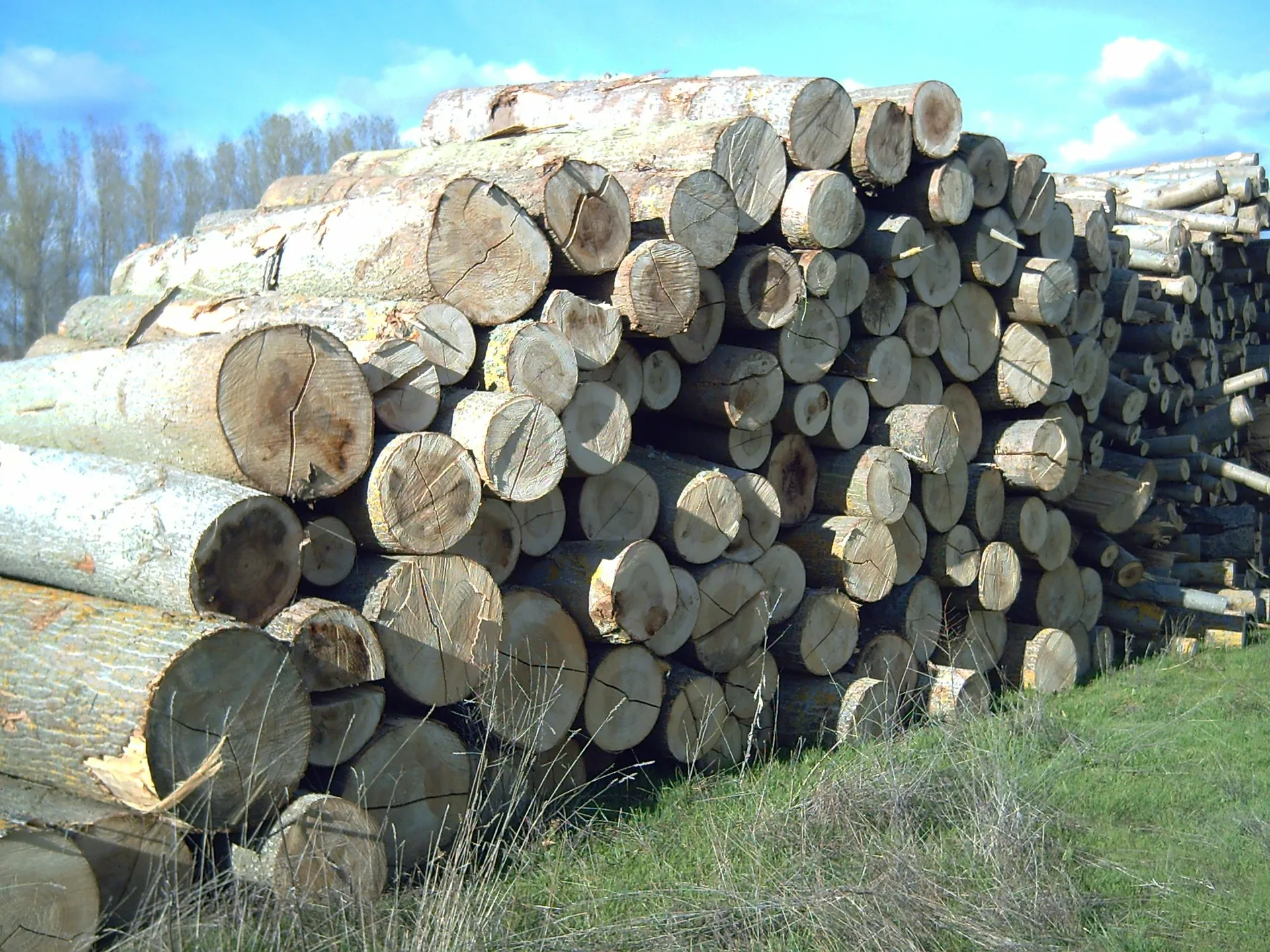 wood 76968 1920