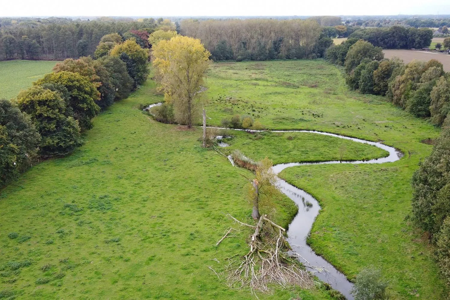 haelens beekdal het limburgs landschap
