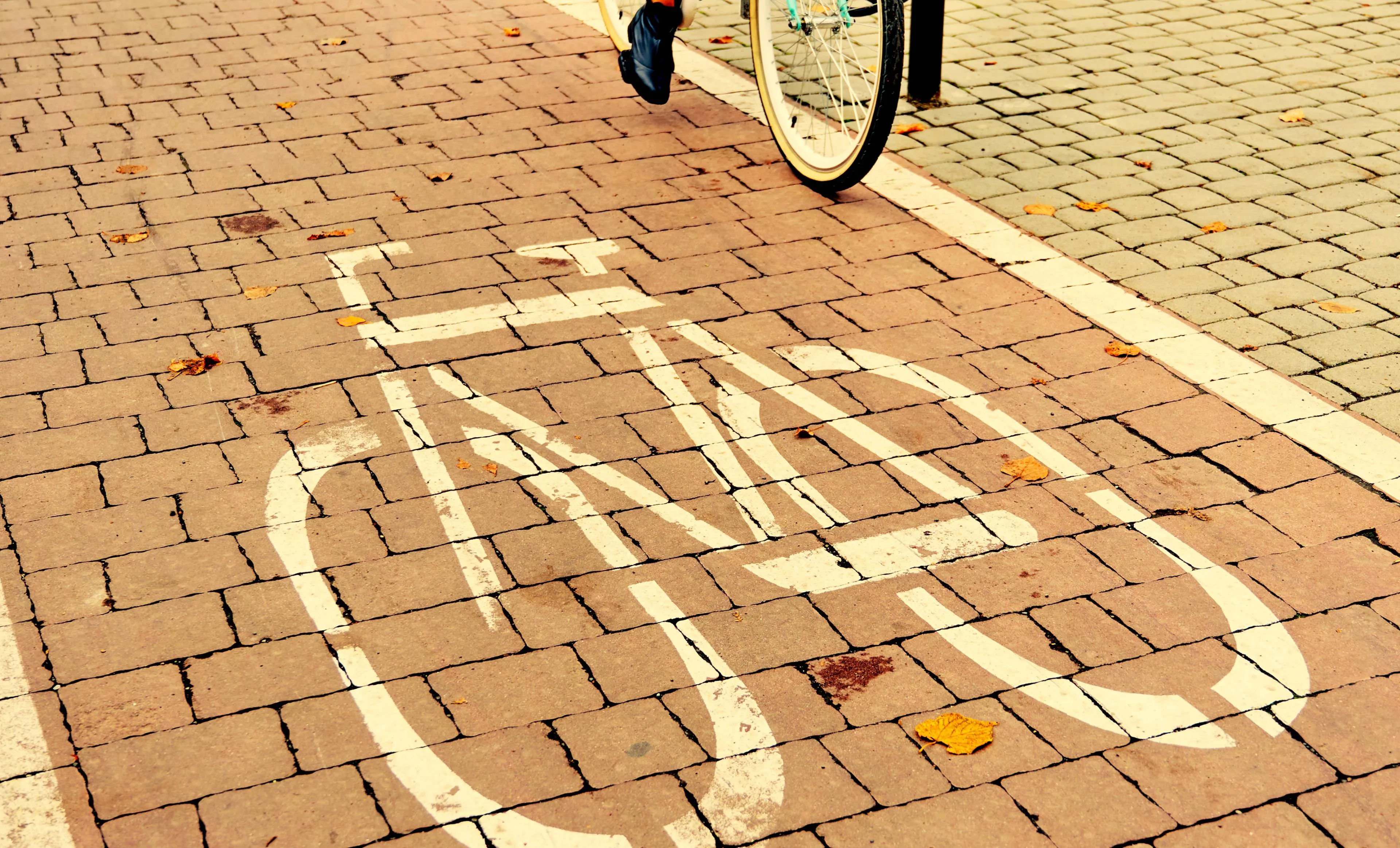woman-riding-bicycle-path-centre-city