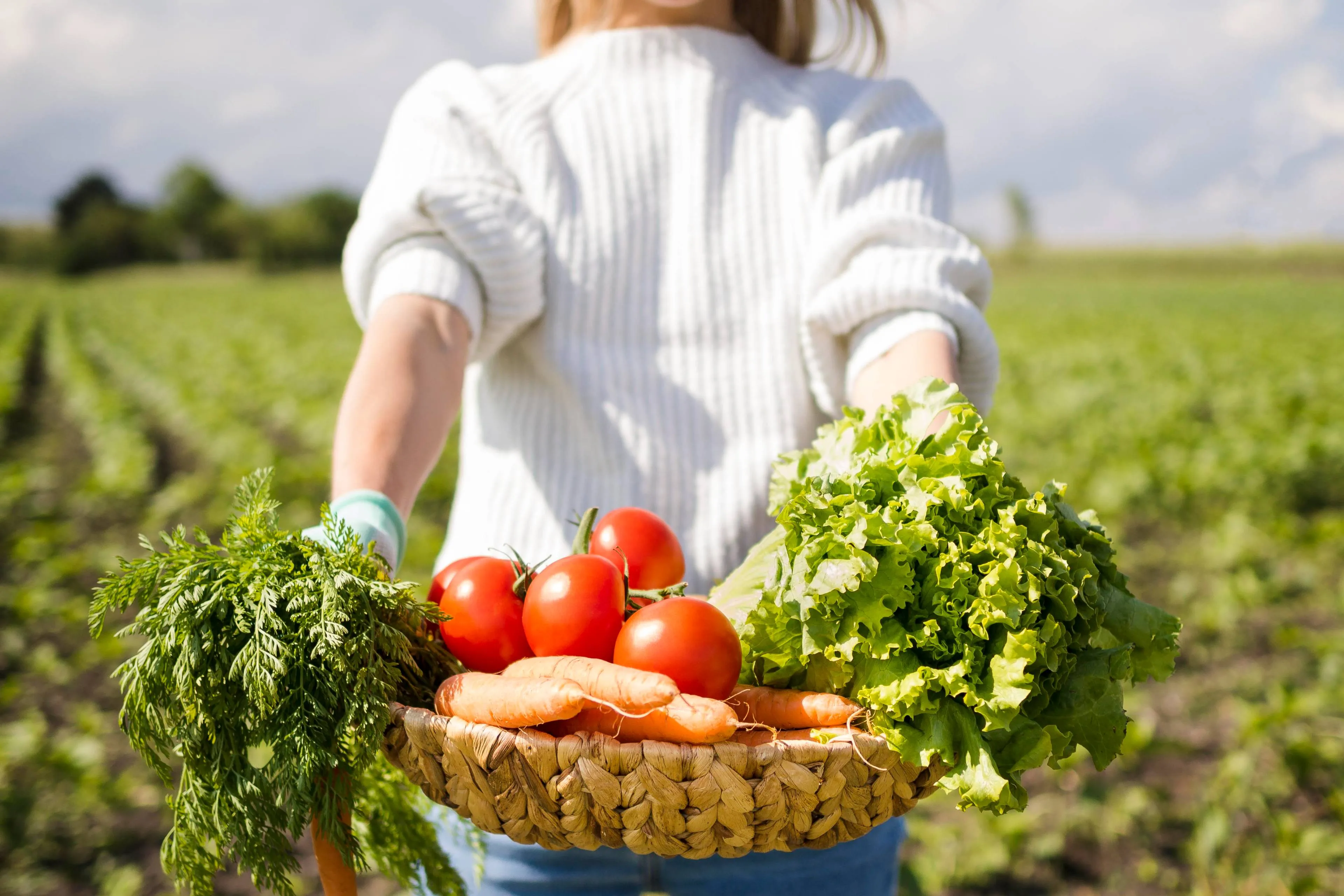 woman-holding-basket-full-vegetables-front-her