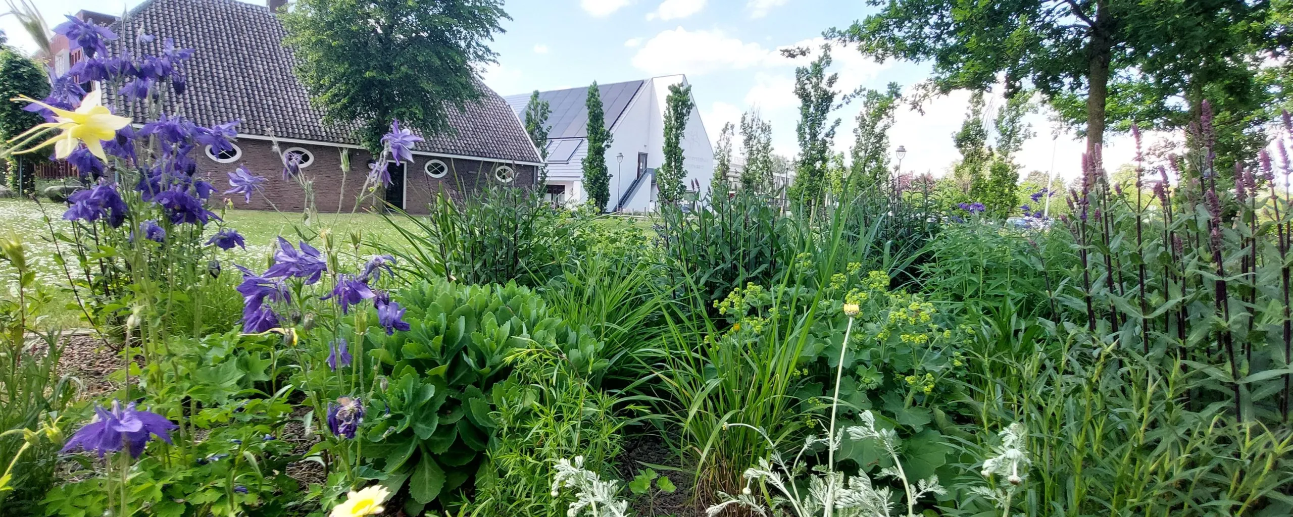 biodiversiteit 0