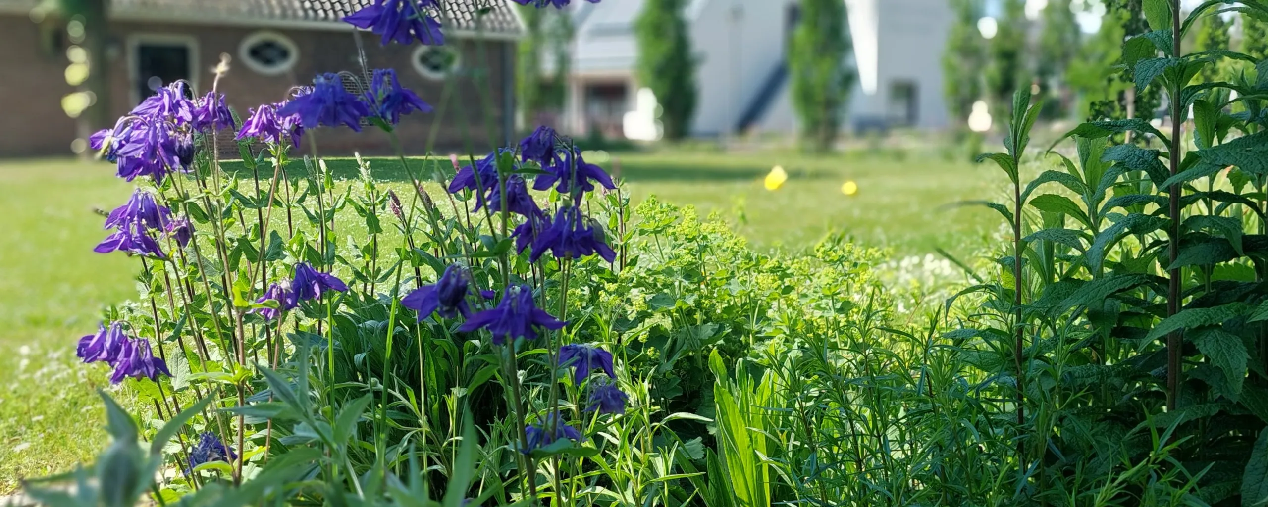 biodiversiteit