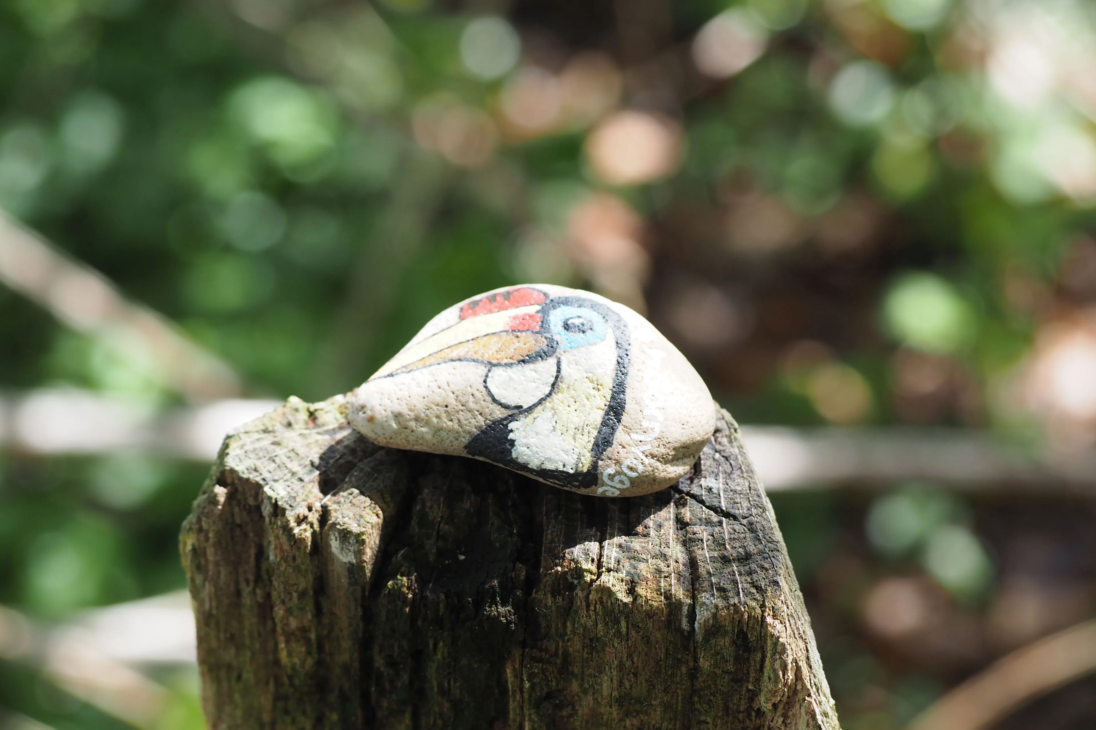 bzhappy stones3geribbelde neushoornvogel