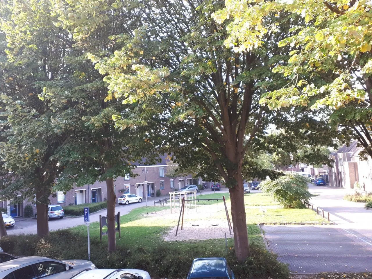lingewaarddoet2020314image