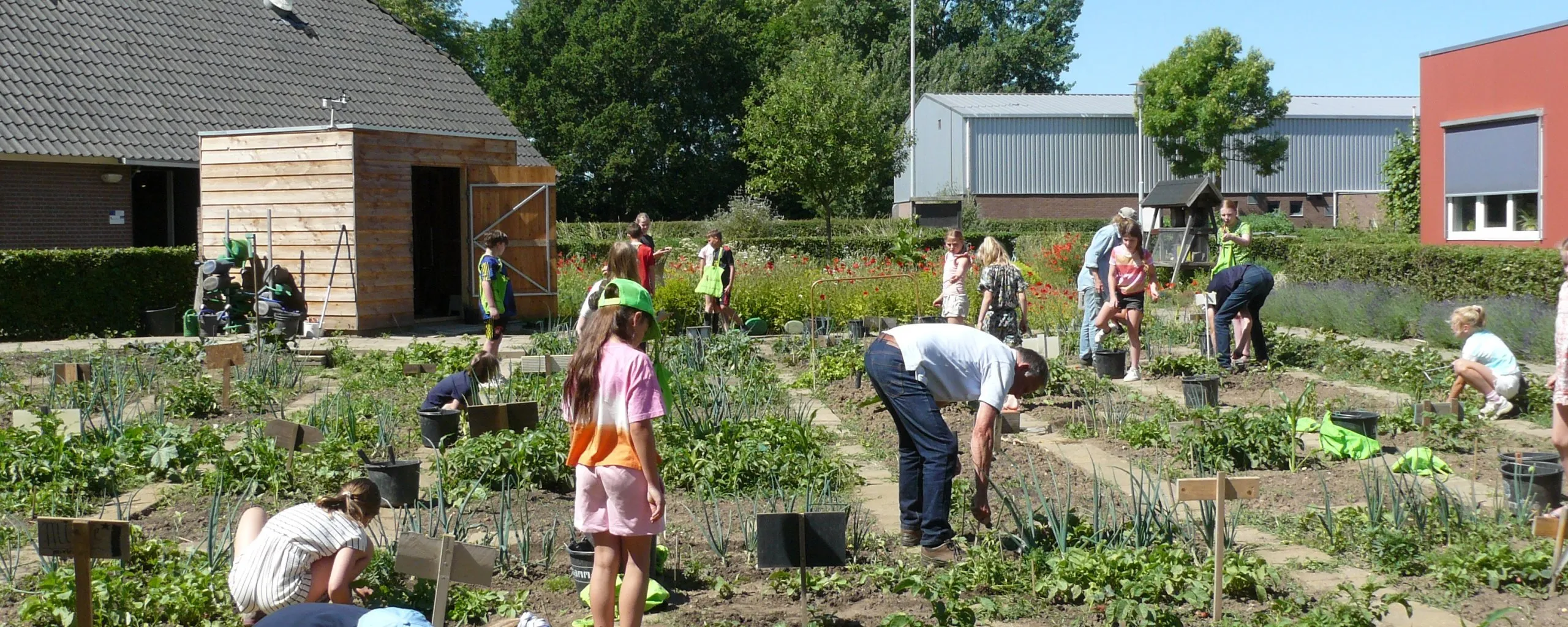 steenbreektrofeeschooltuin