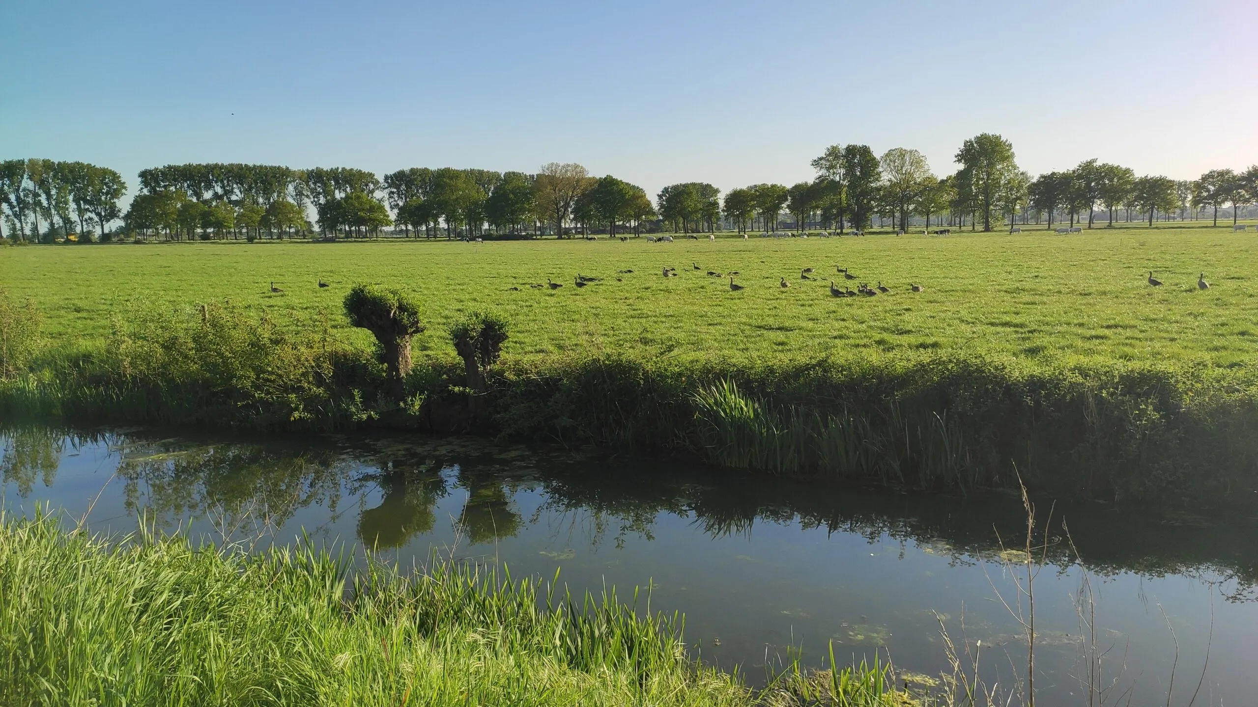 stichting landschaps