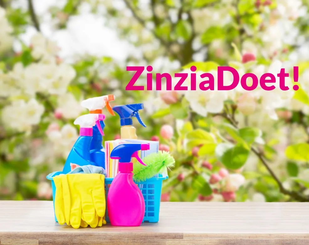 zinziadoet