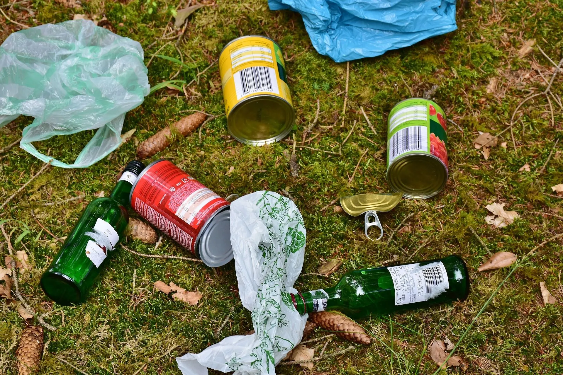 zwerfafvalpixabaygarbage 2416624 1920