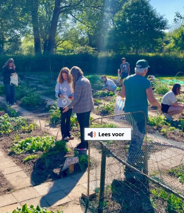 enthousiaste aftrap week van de schooltuin gemeente lingewaard